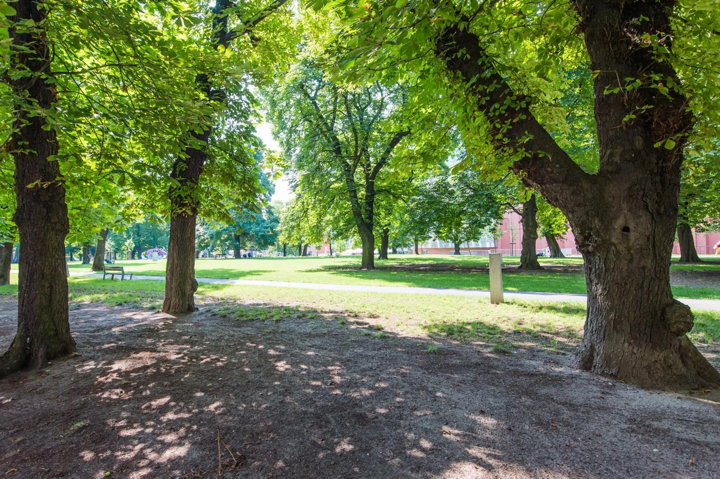 Neighbourhood in Bliss Apartments