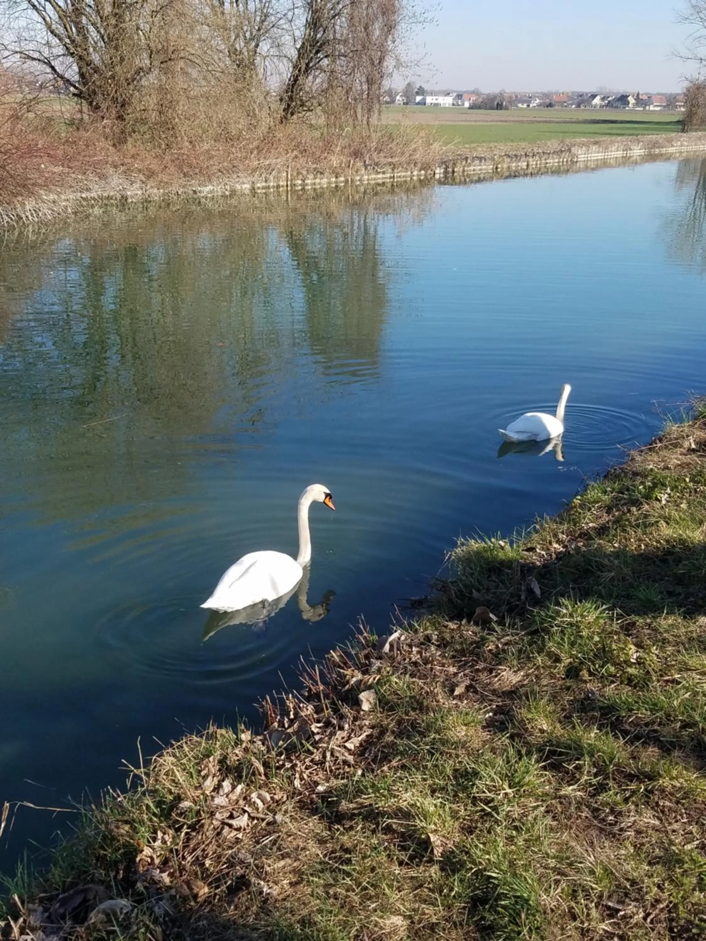Activities in Les mésanges de l'Ill