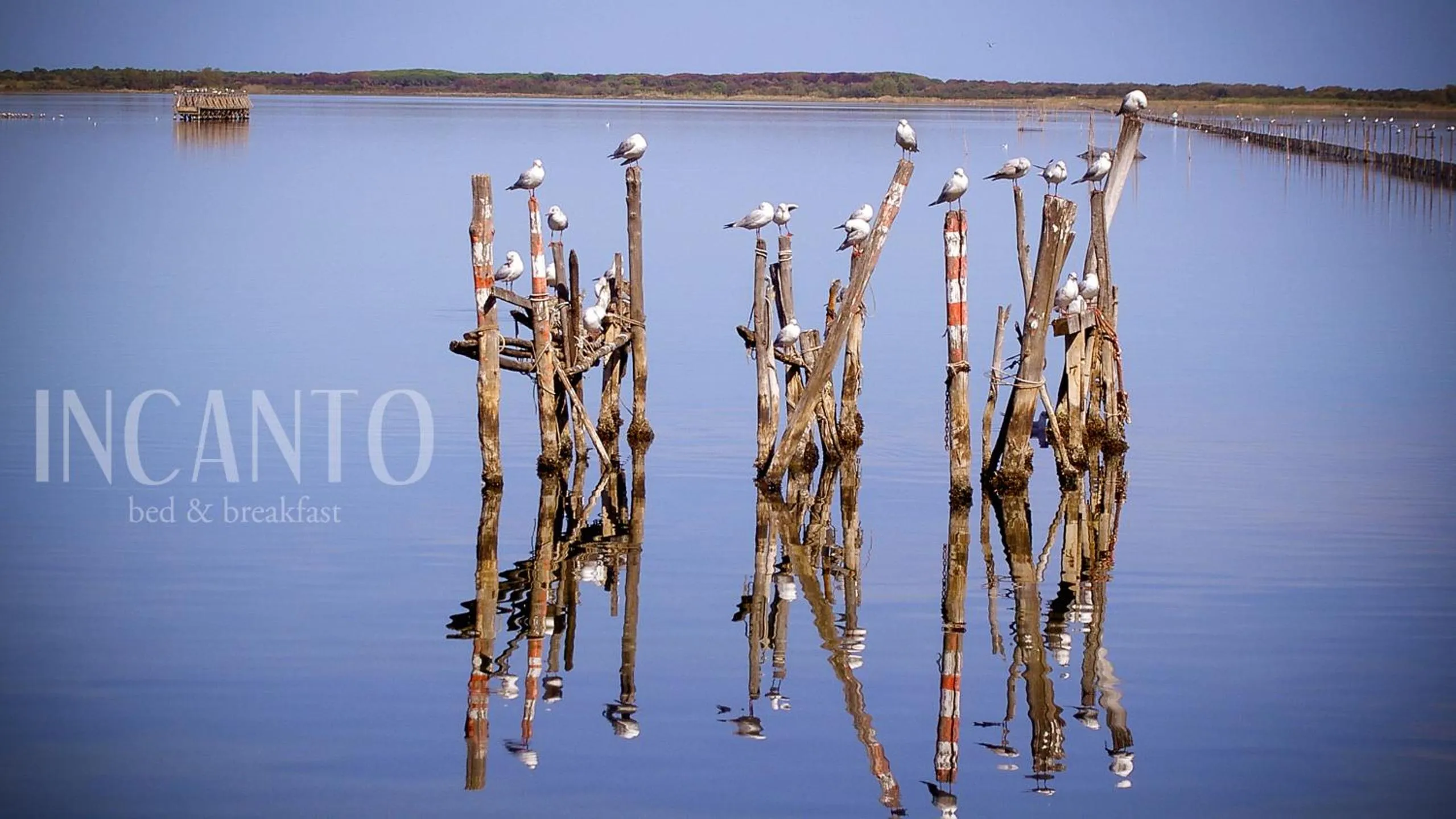 Natural landscape in Incanto b&b