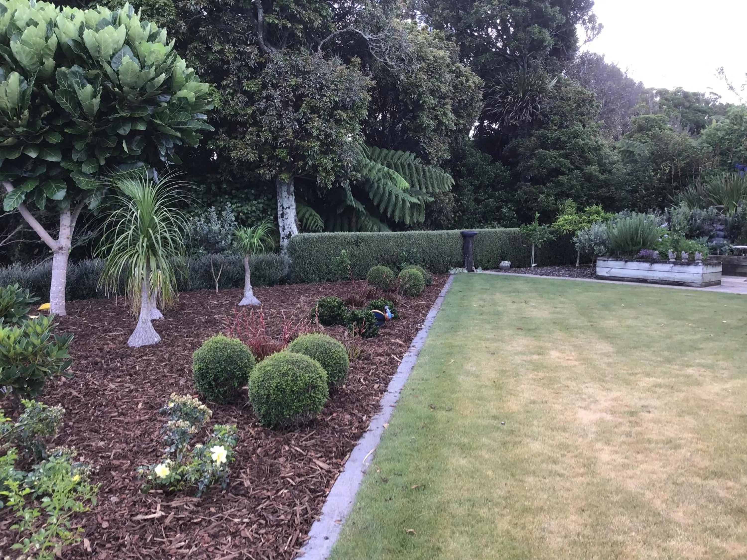 Garden view in Treetops On Heta