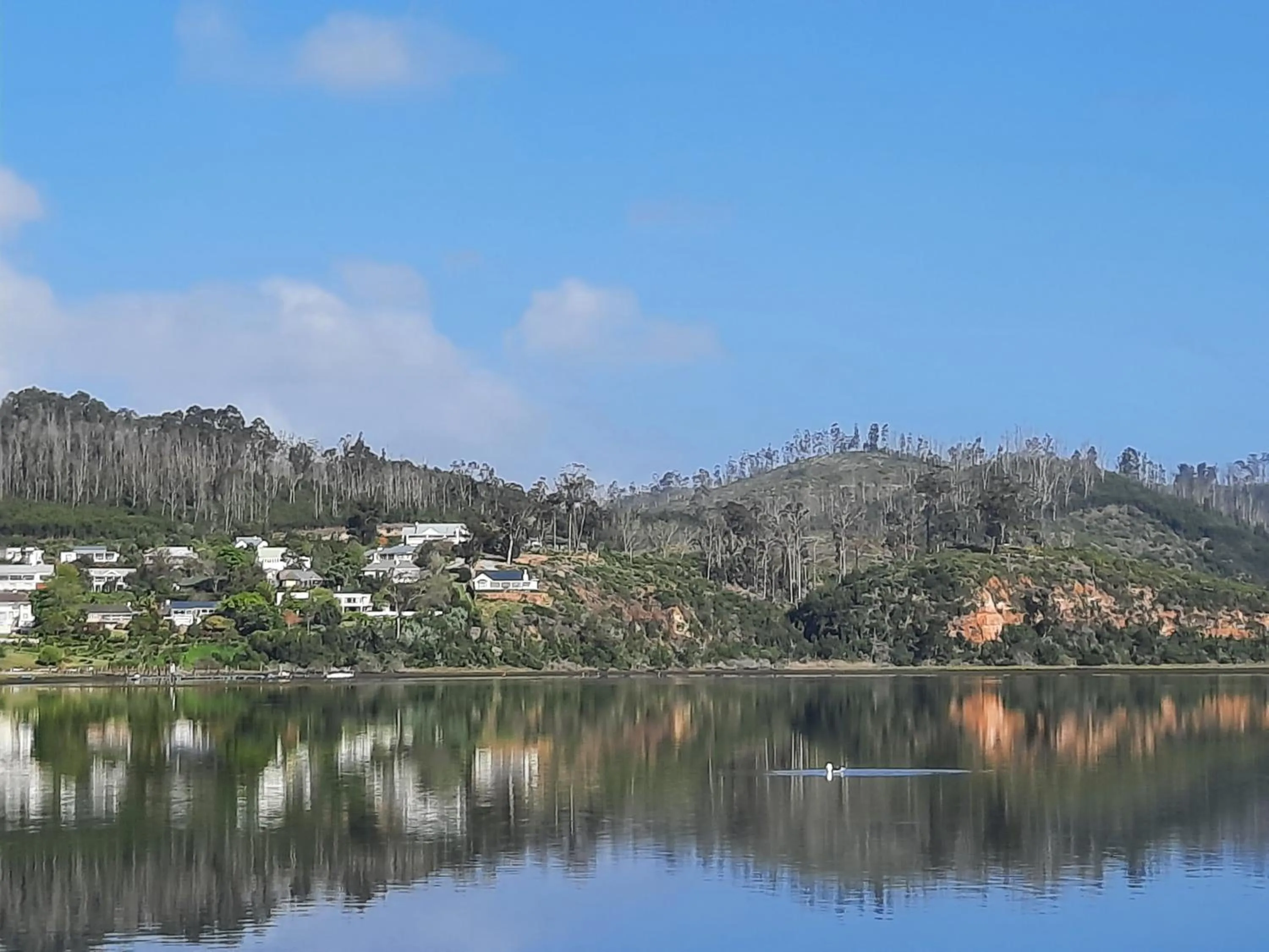 Lake view in Phoenix Lodge and Waterside Accommodation