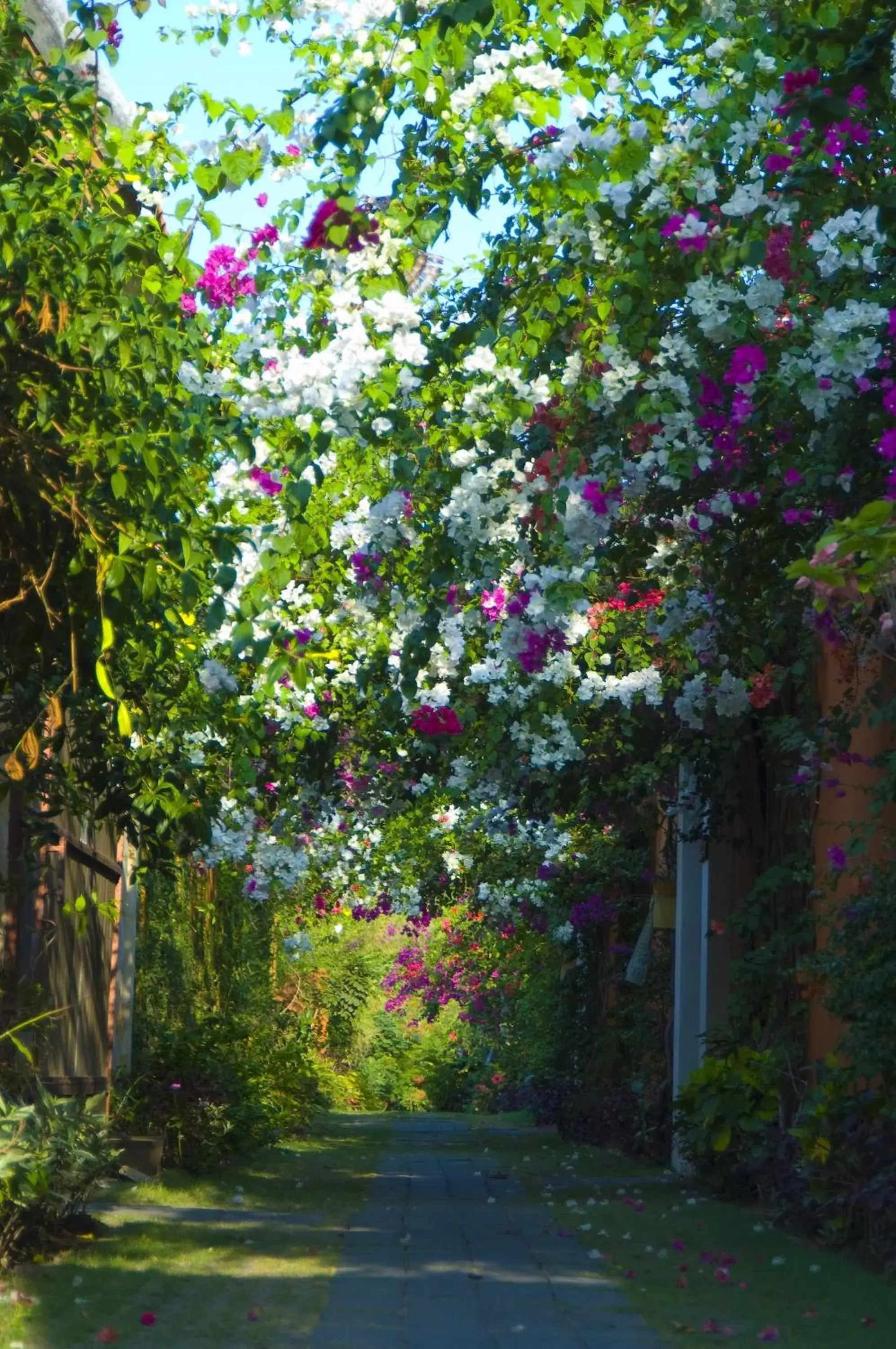 Facade/entrance in Villa Bali Asri Facade/entrance in Villa Bali Asri