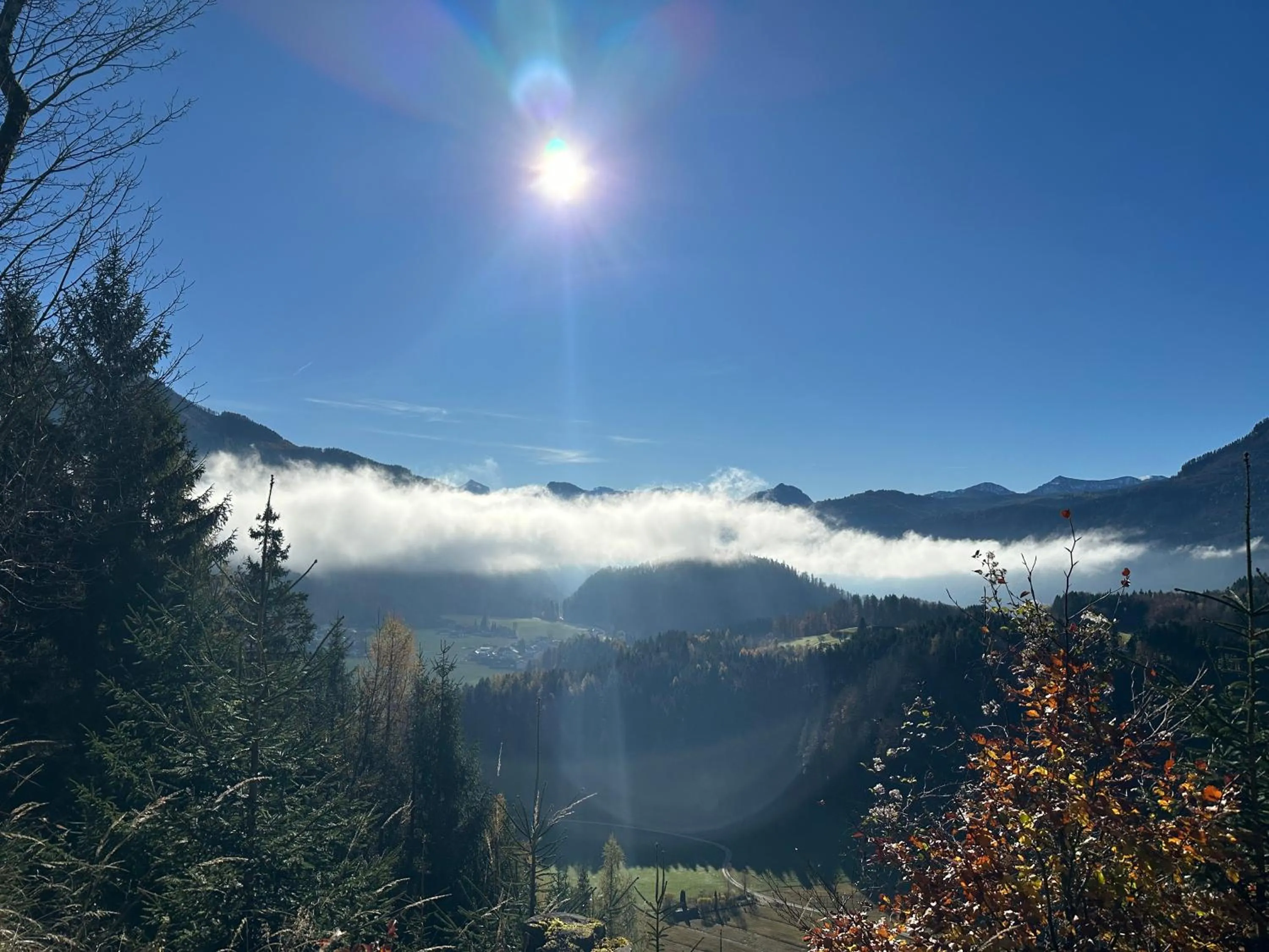 Hiking in Landgasthof & Restaurant Batzenhäusl