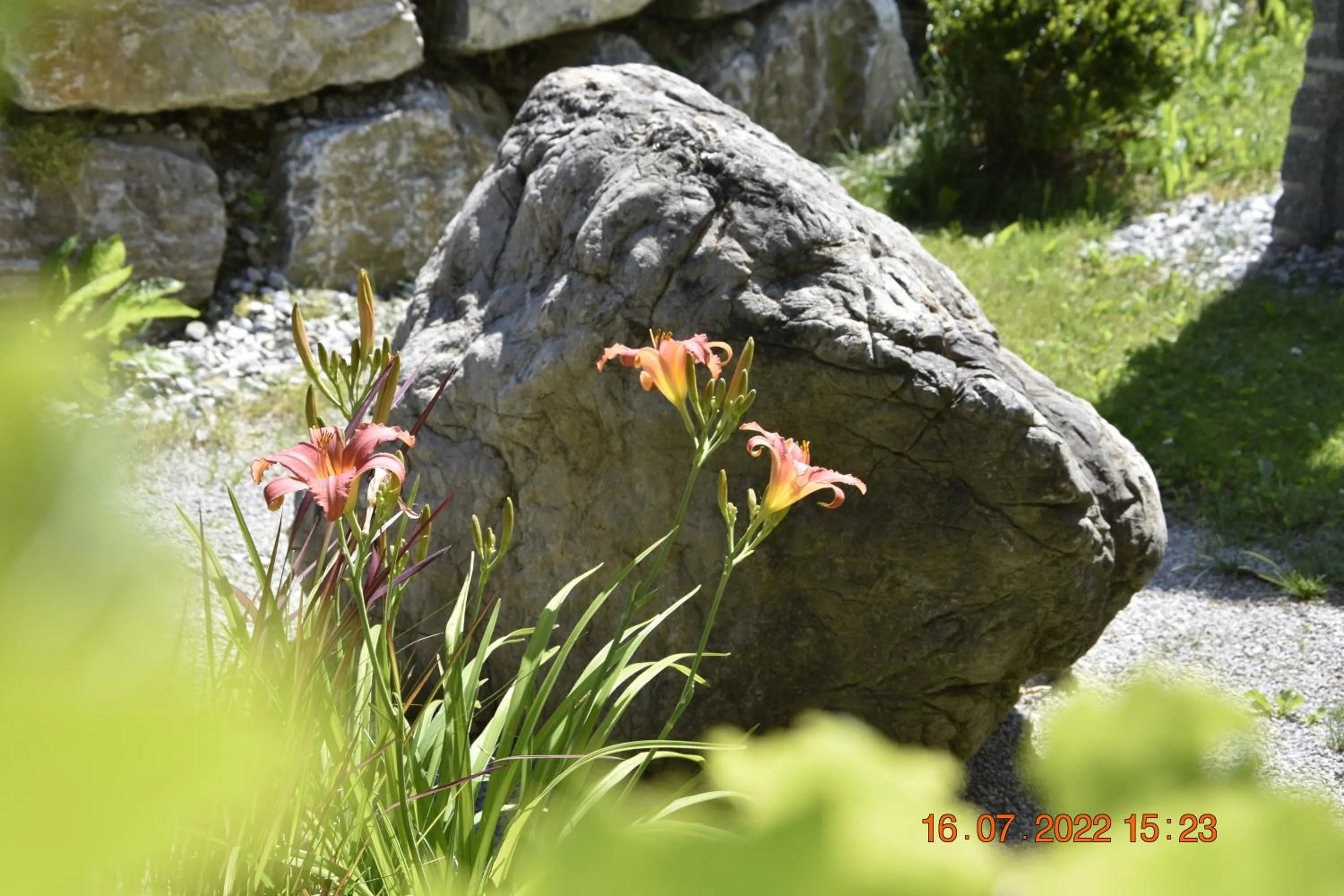 Garden in Landhotel Anna