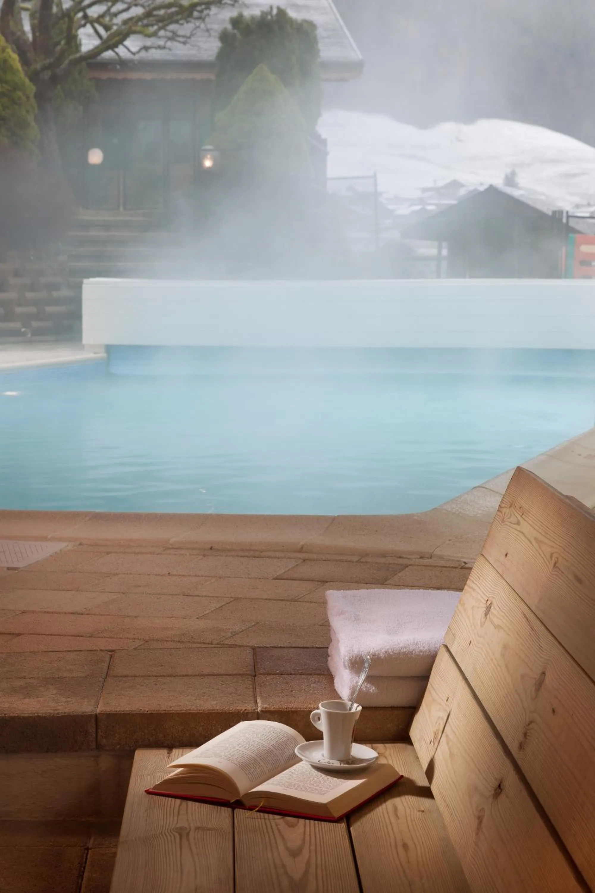 Swimming pool in L'Hermine Blanche