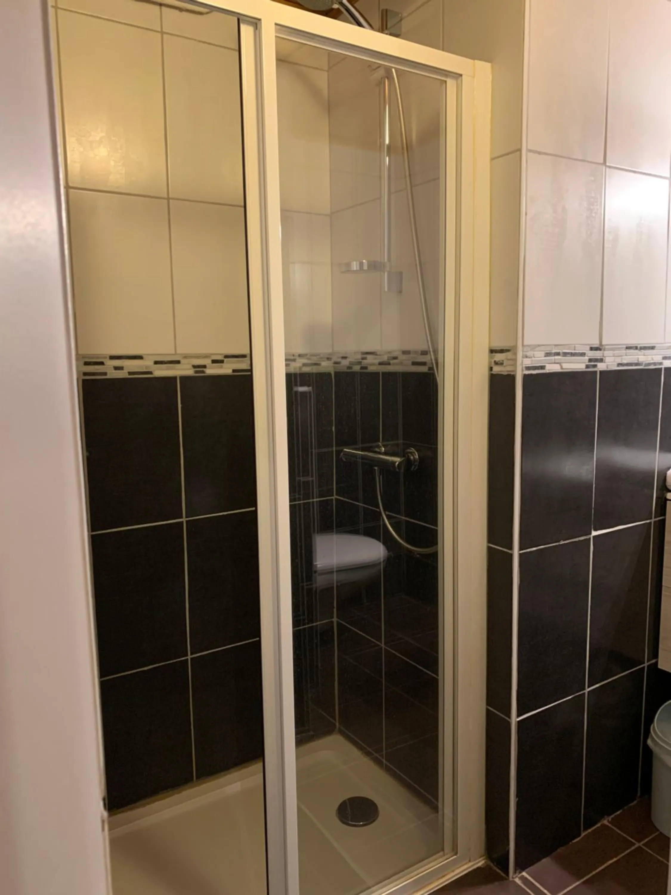 Shower in Hotel Le Concorde