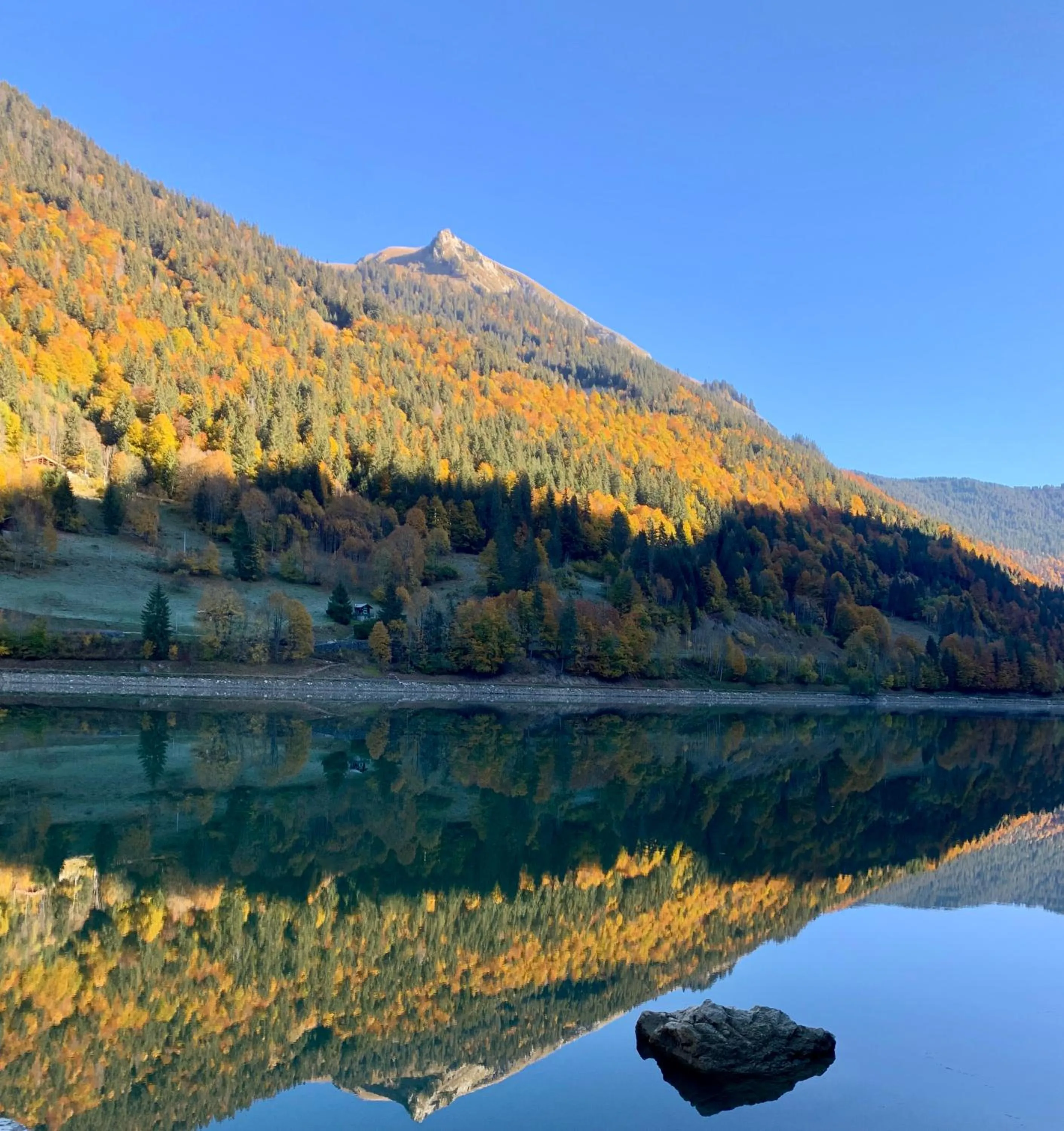 Natural landscape in Hotel Le Concorde
