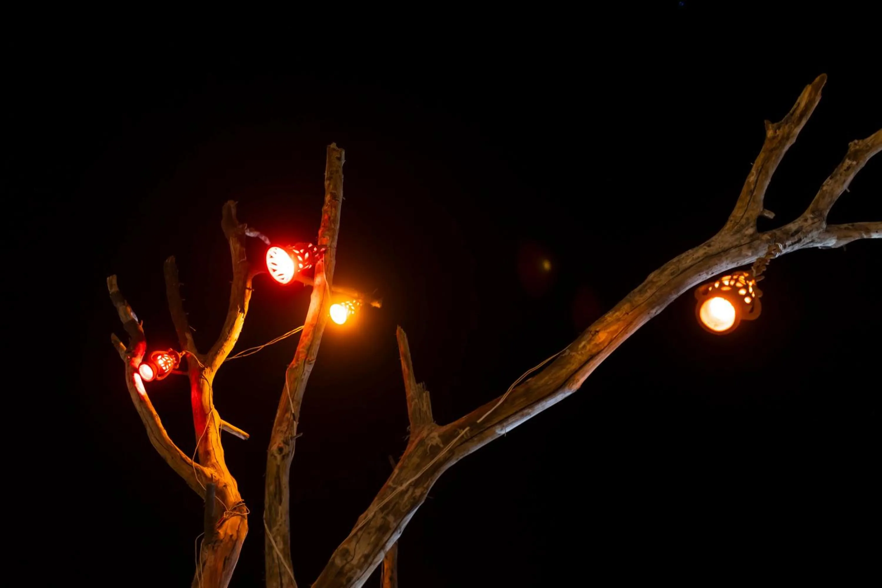 Night in Nomads heaven desert camp jaisalmer