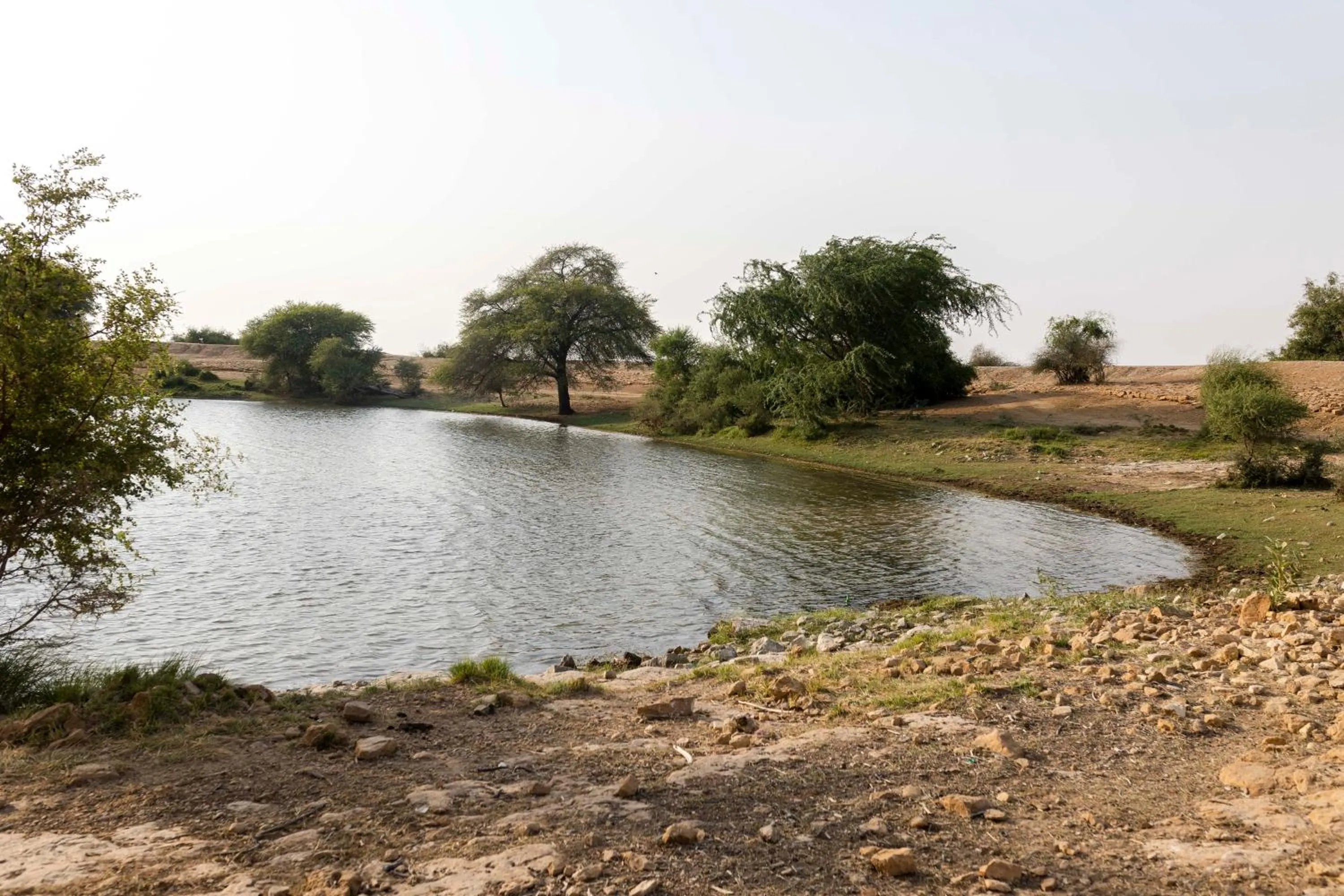Nomads heaven desert camp jaisalmer