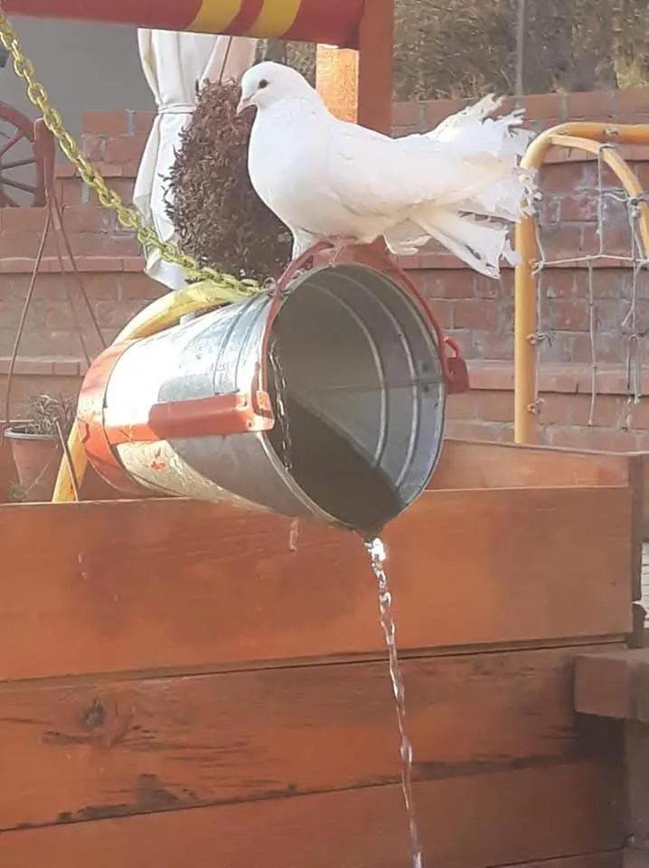 Etno selo Vile Jefimija, selo Preobrazenje, Vranje