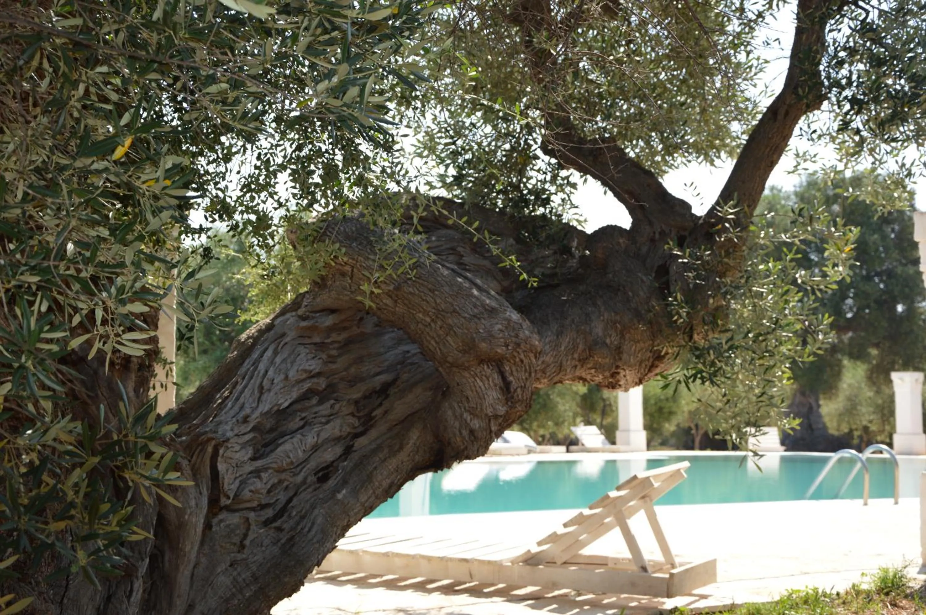 Day in Agriturismo Masseria San Leonardo