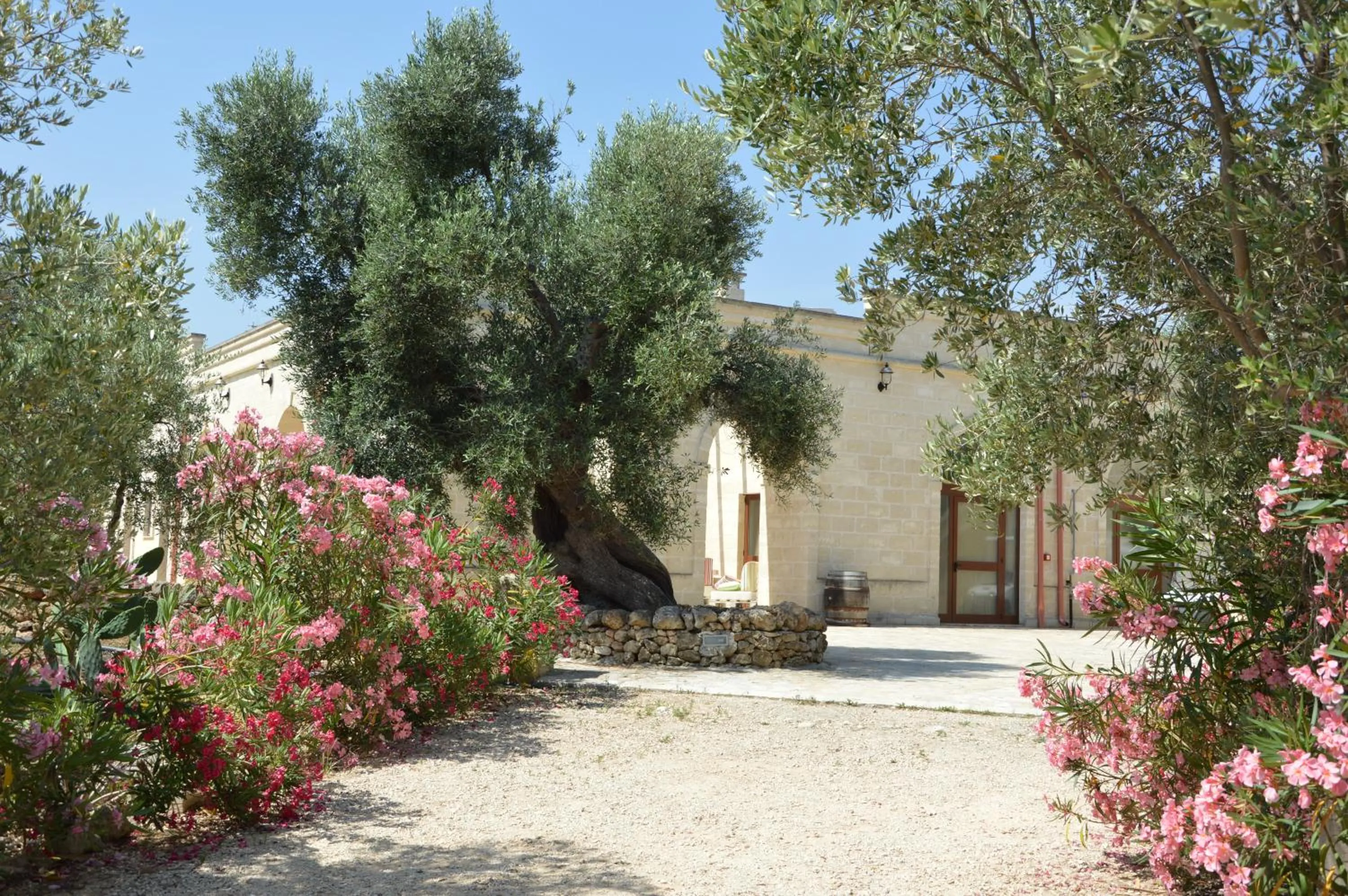 Property building in Agriturismo Masseria San Leonardo