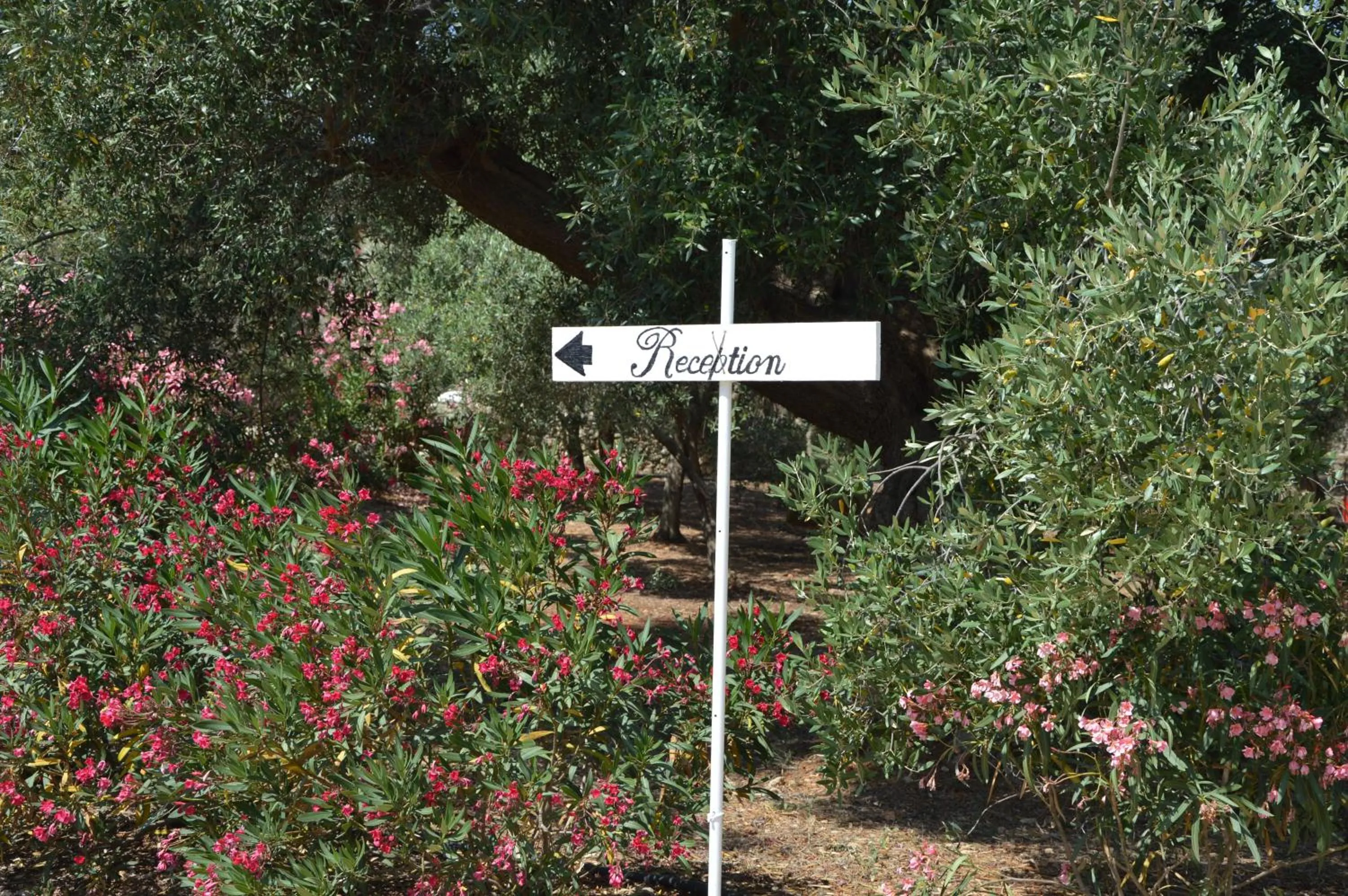 Facade/entrance in Agriturismo Masseria San Leonardo