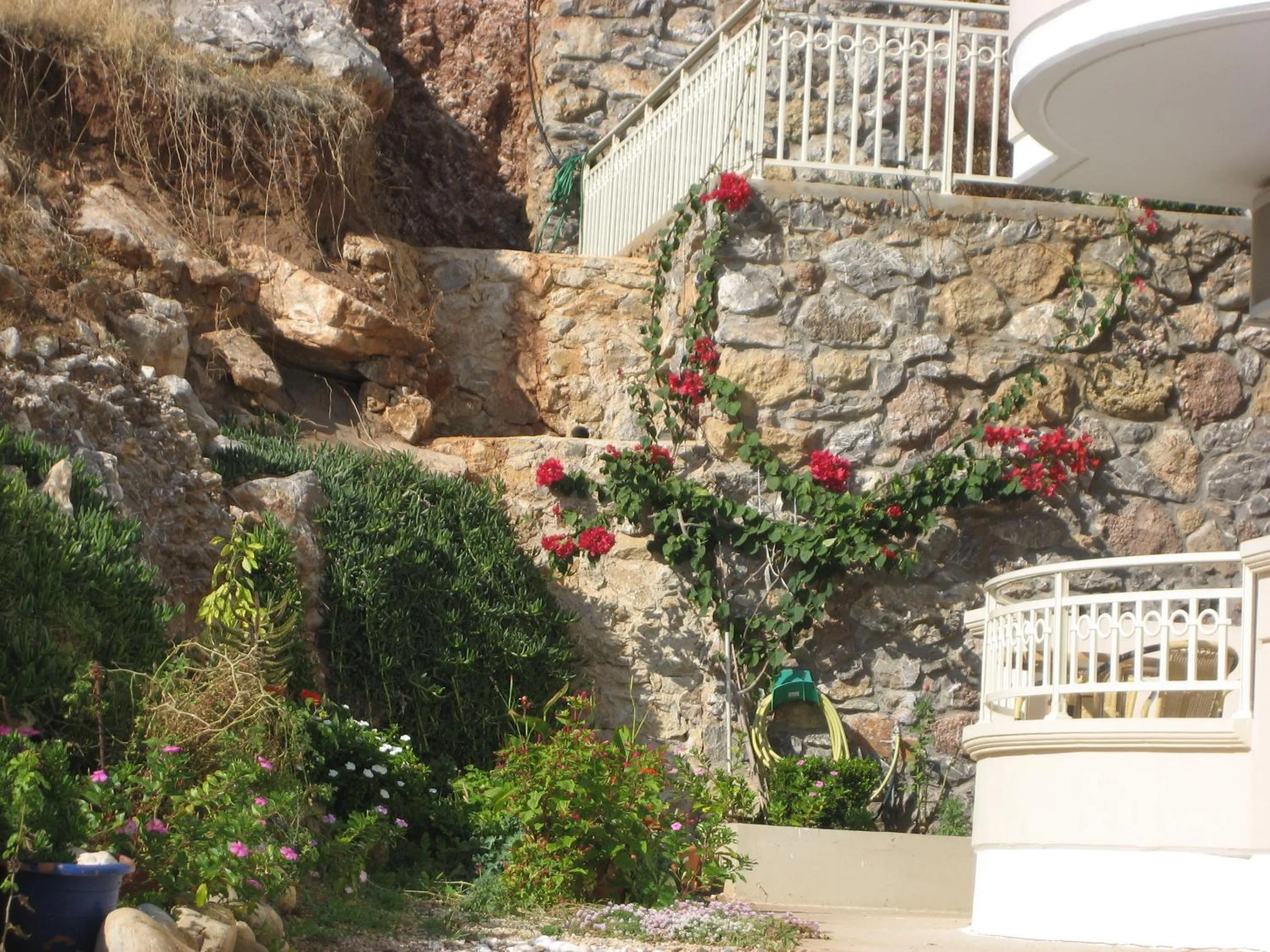 Garden in Yiorgos Studios