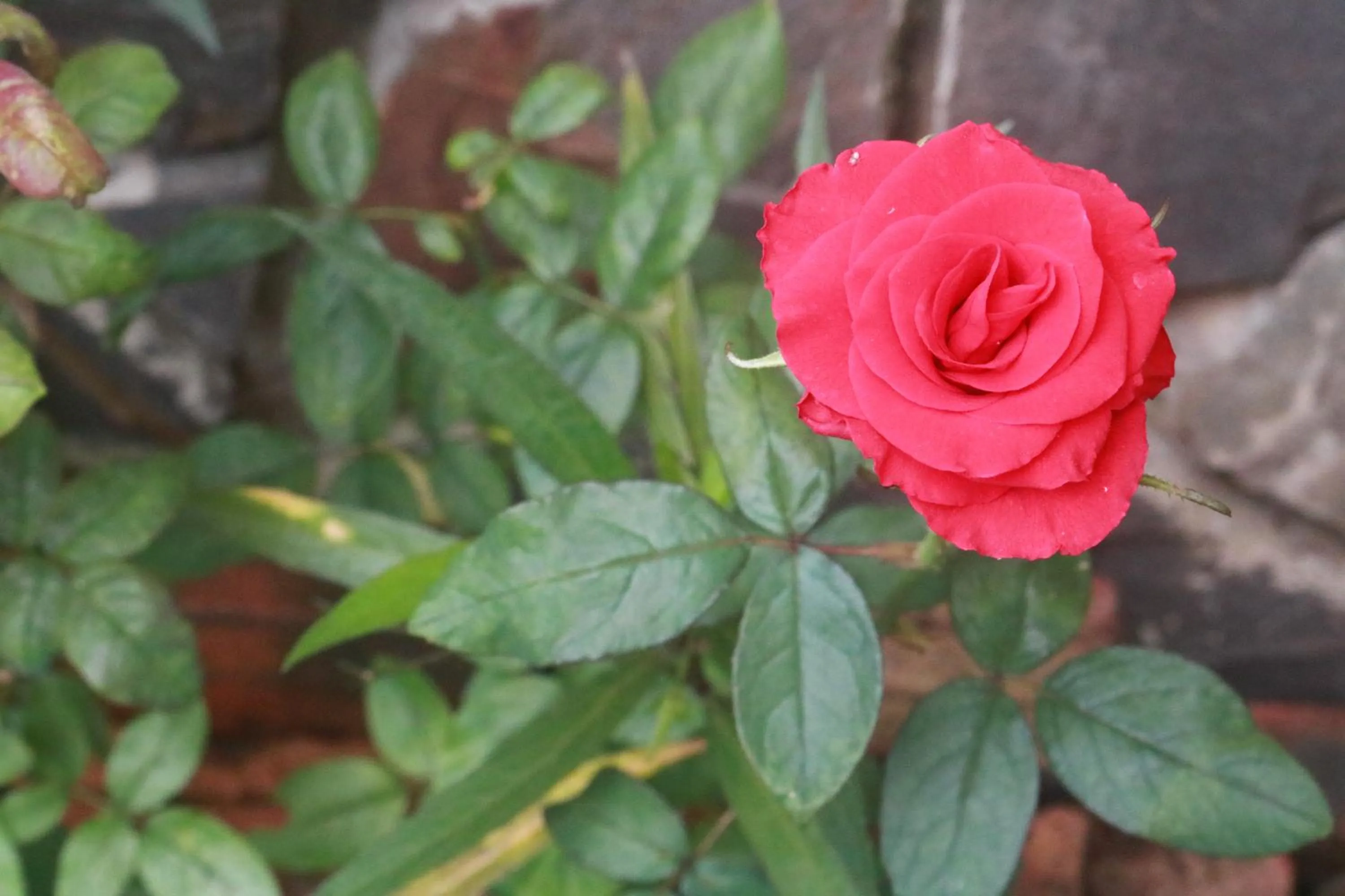 Property building in Loc Phat Hoi An Homestay