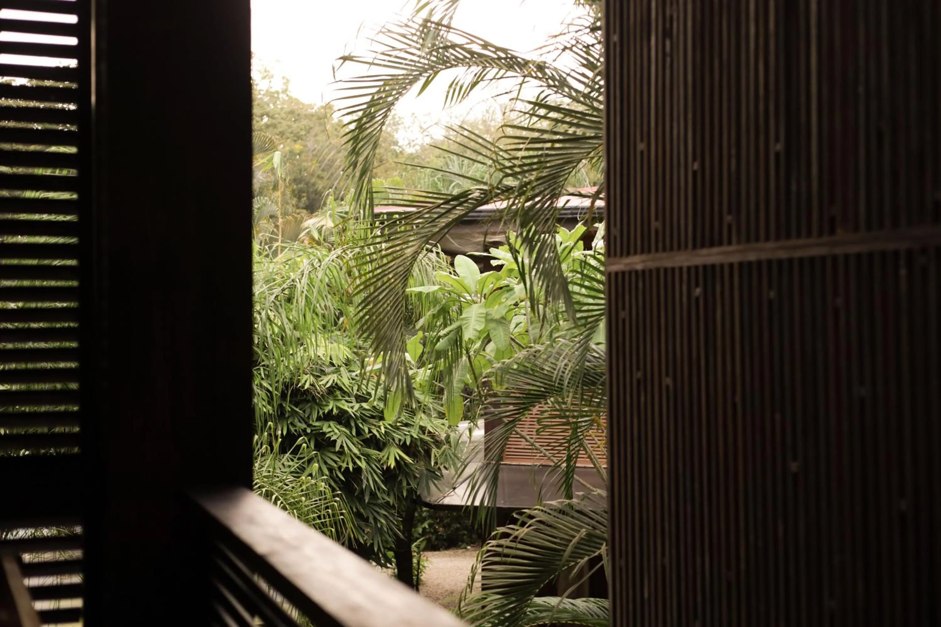 Bedroom in Outsite Santa Teresa Playa