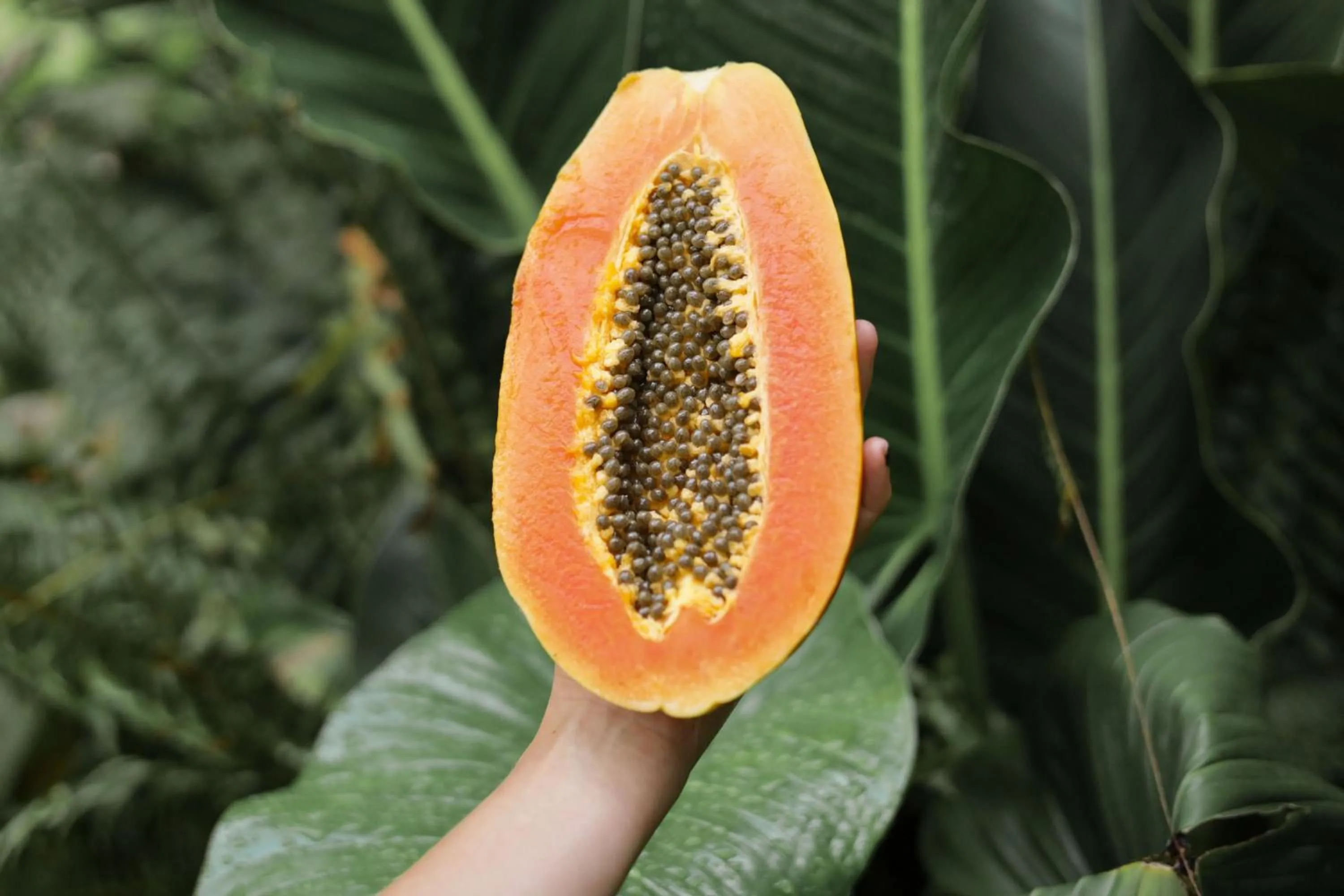 Property building in Outsite Santa Teresa Playa