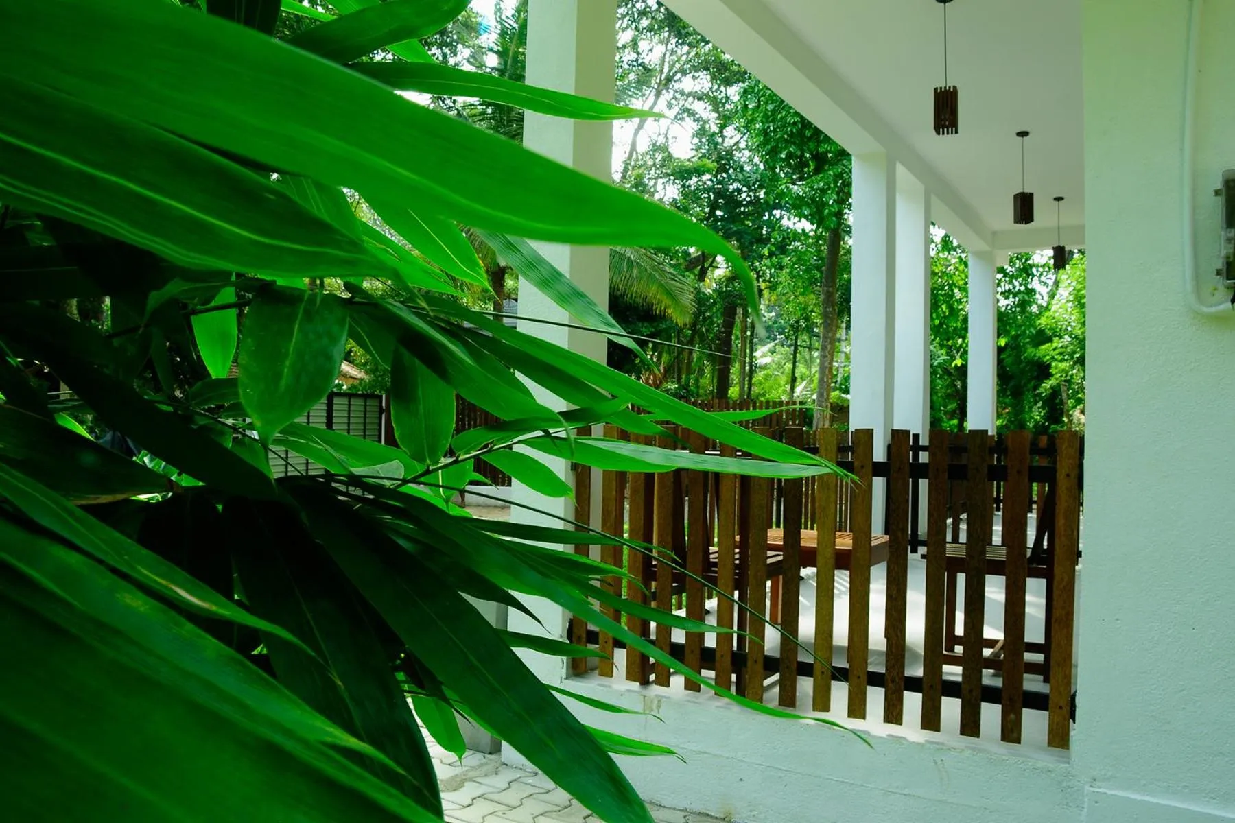 Garden view in Talalla 170 Villa