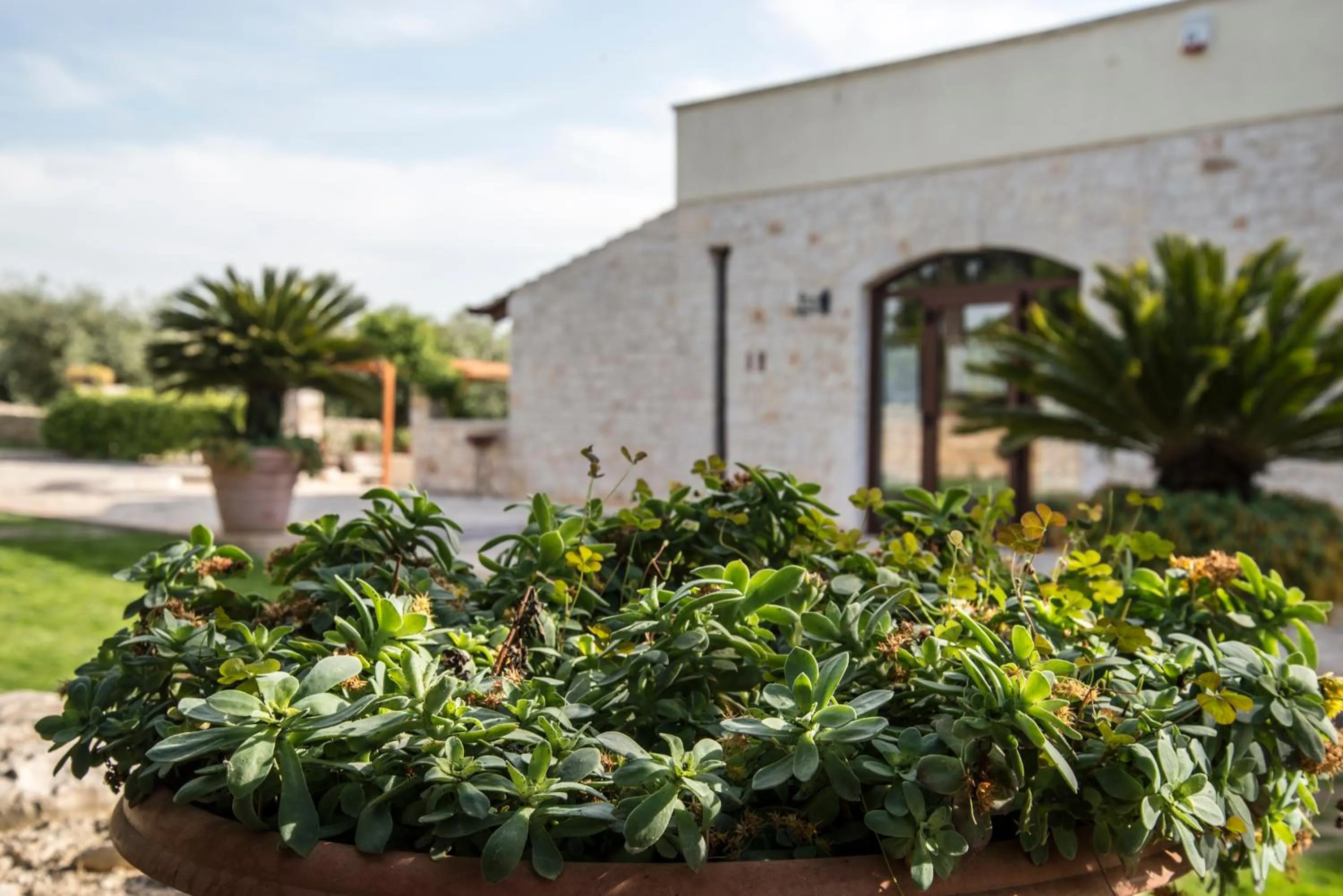 Garden in Masseria Gravelle