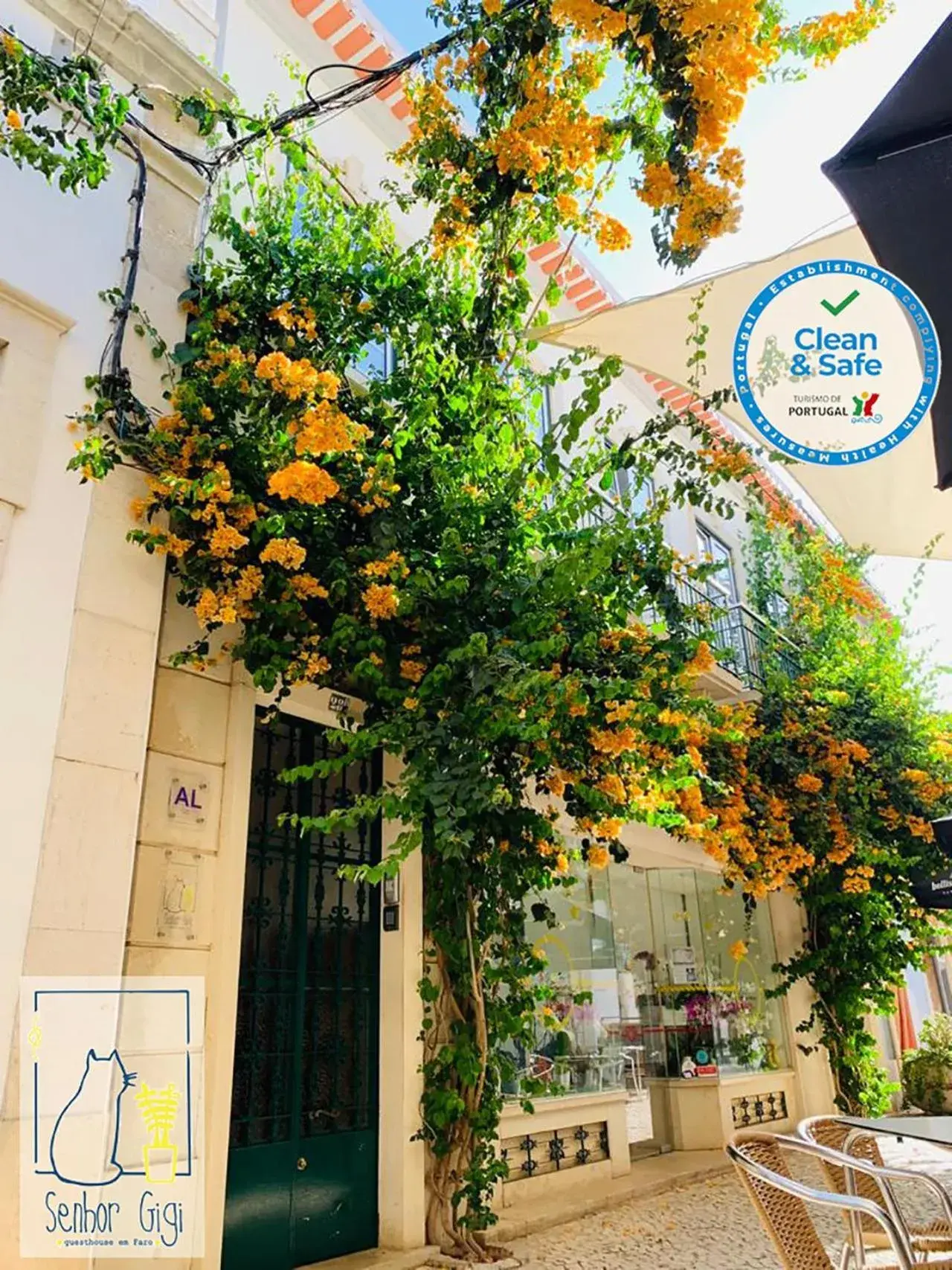 Property building in Senhor Gigi Property building in Senhor Gigi