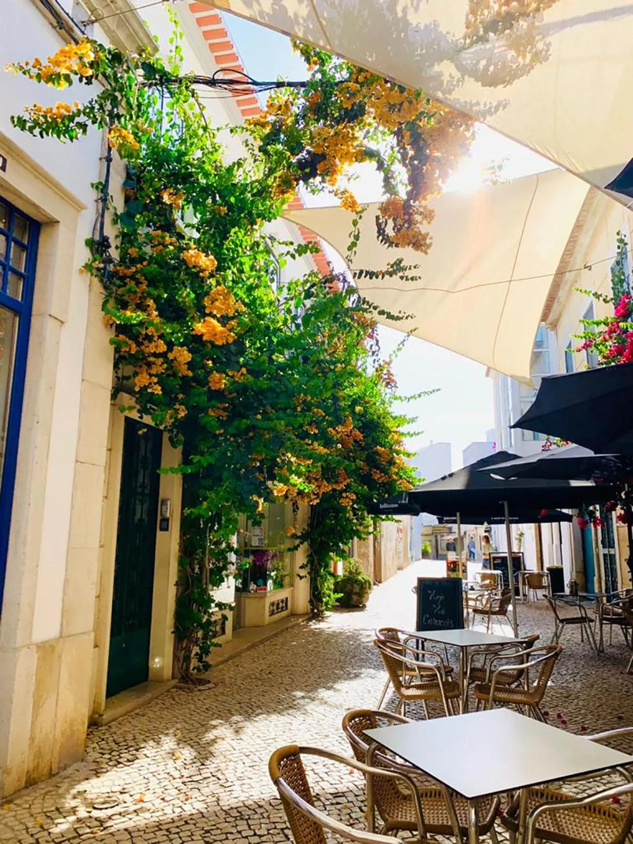 Property building in Senhor Gigi