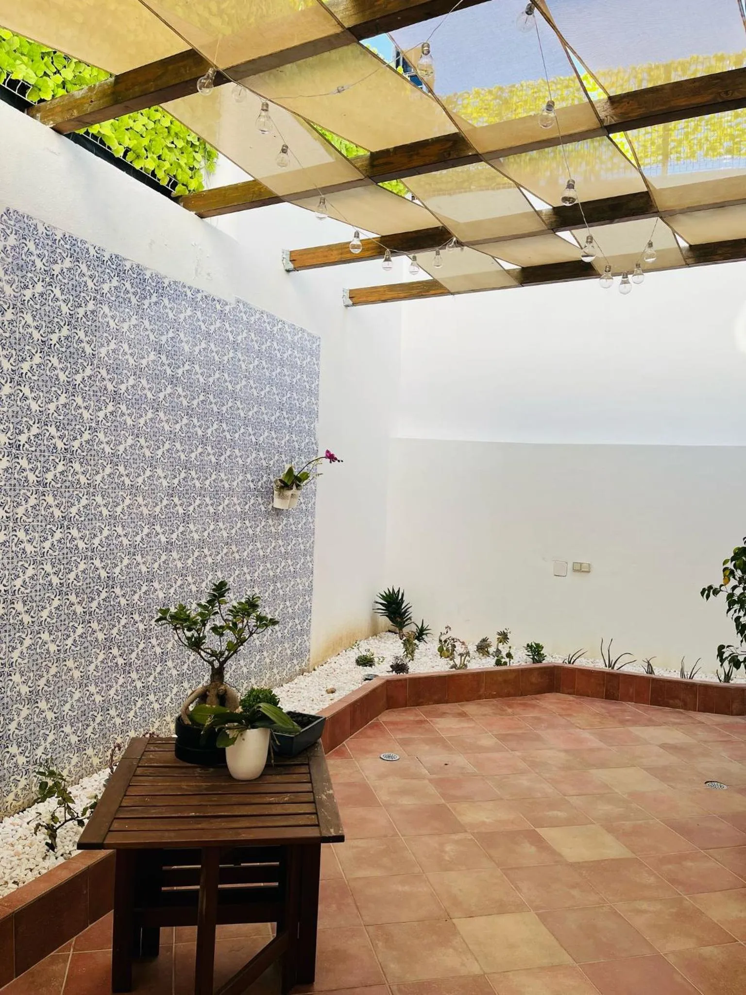 Garden in Senhor Gigi