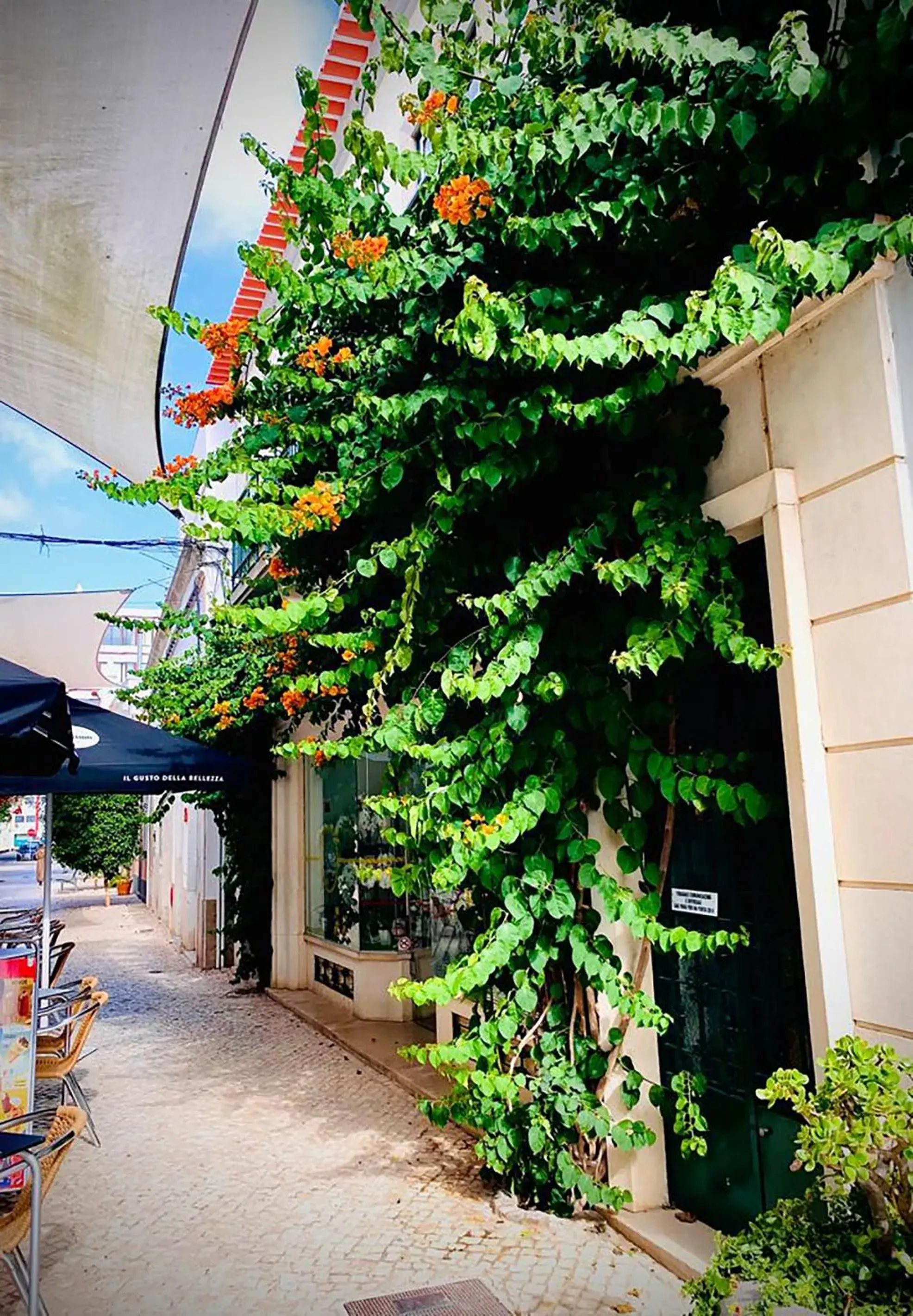 Property building in Senhor Gigi Property building in Senhor Gigi