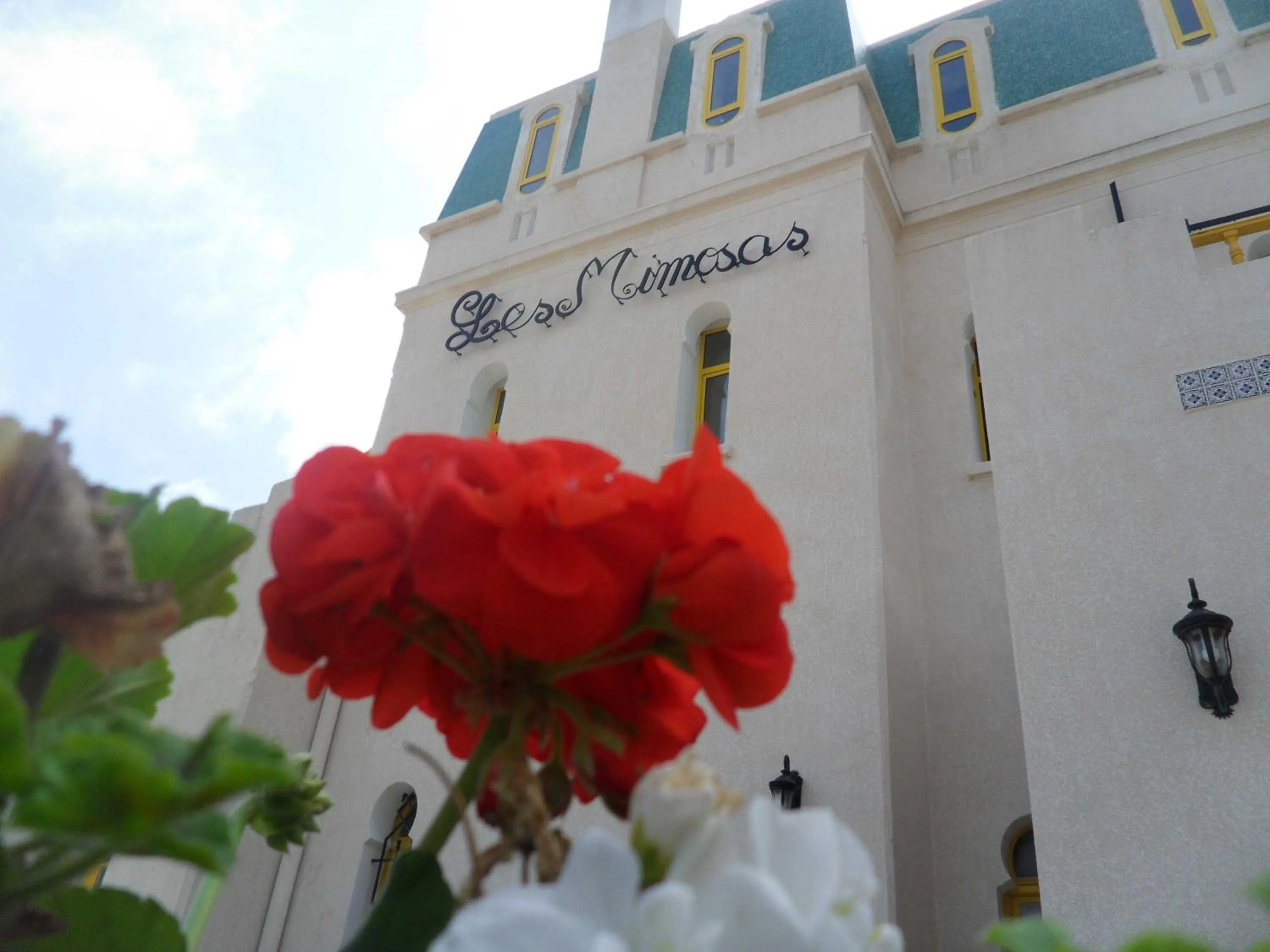 Day in Hôtel LES MIMOSAS TABARKA