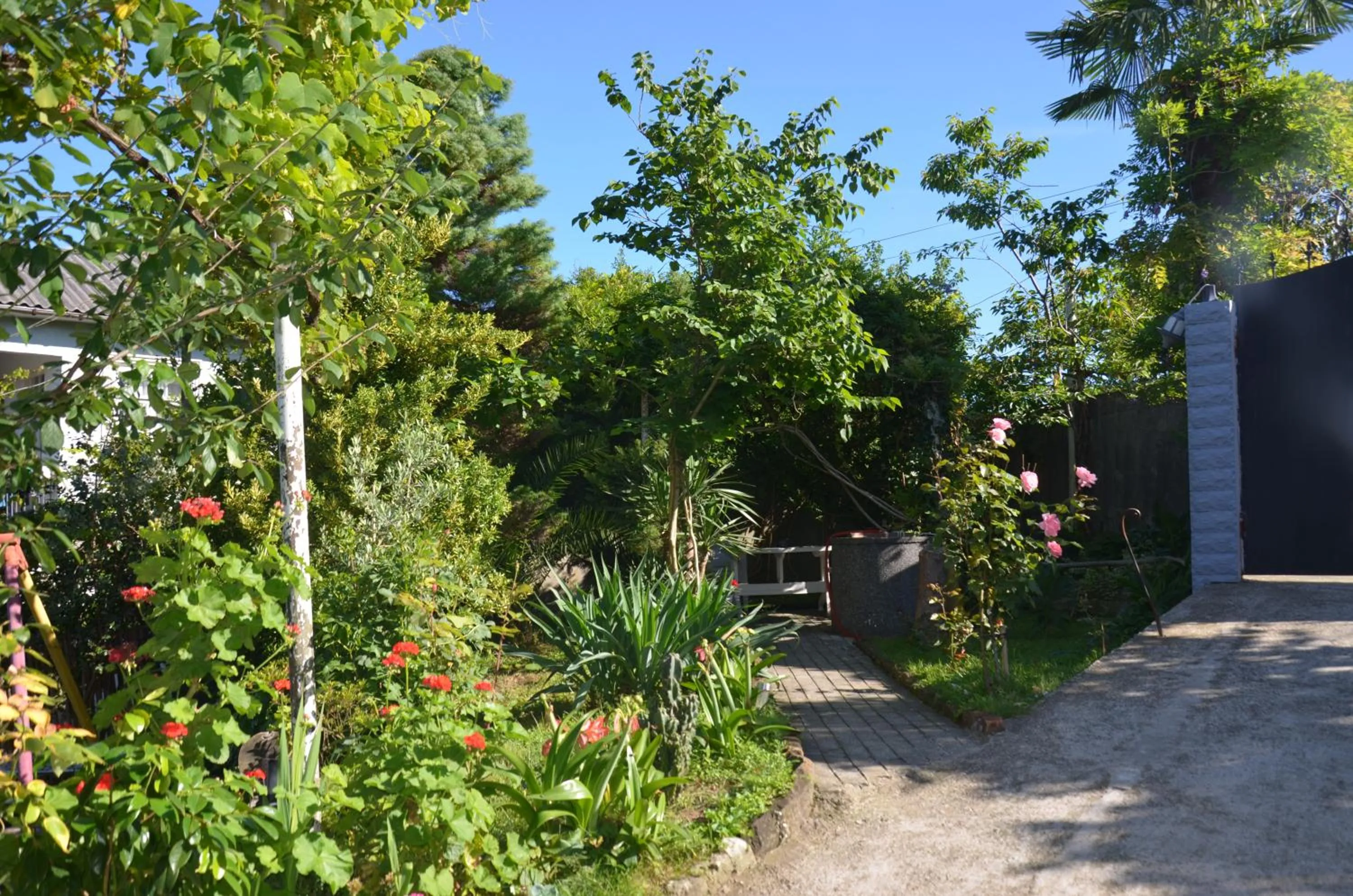 Garden in TJ Guest House