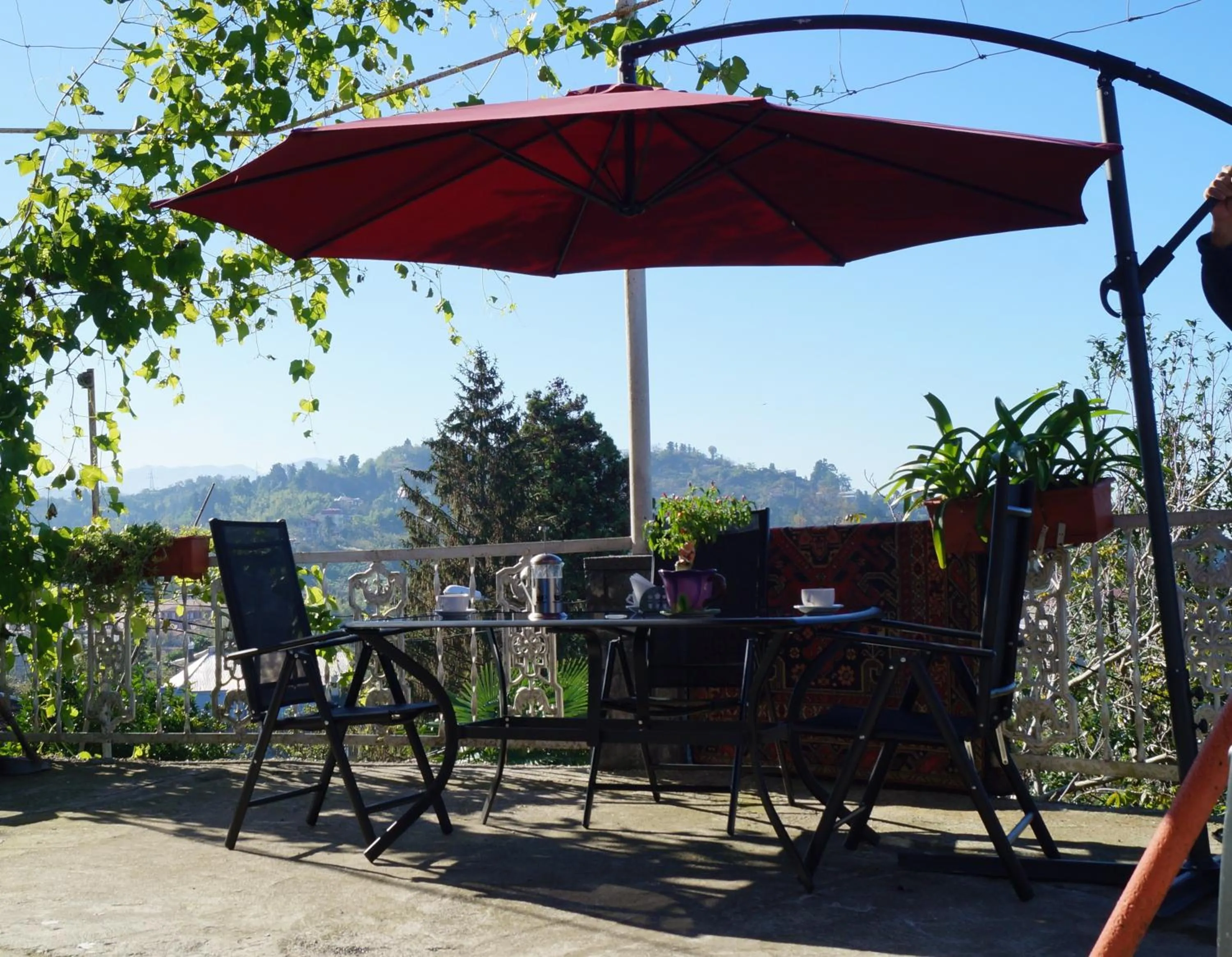 Day in TJ Guest House