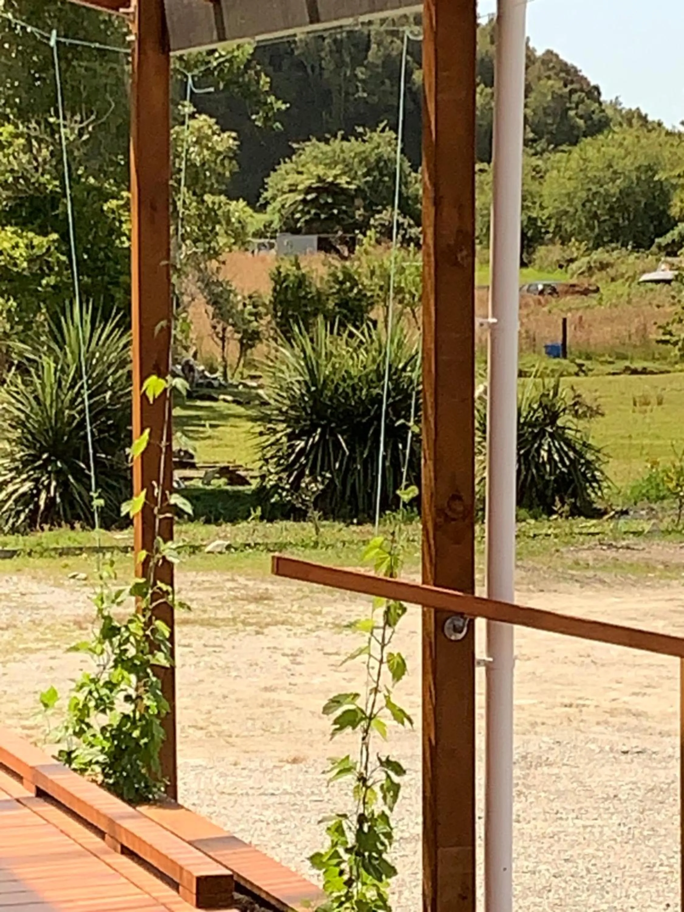 Garden view in Woodstock Hotel