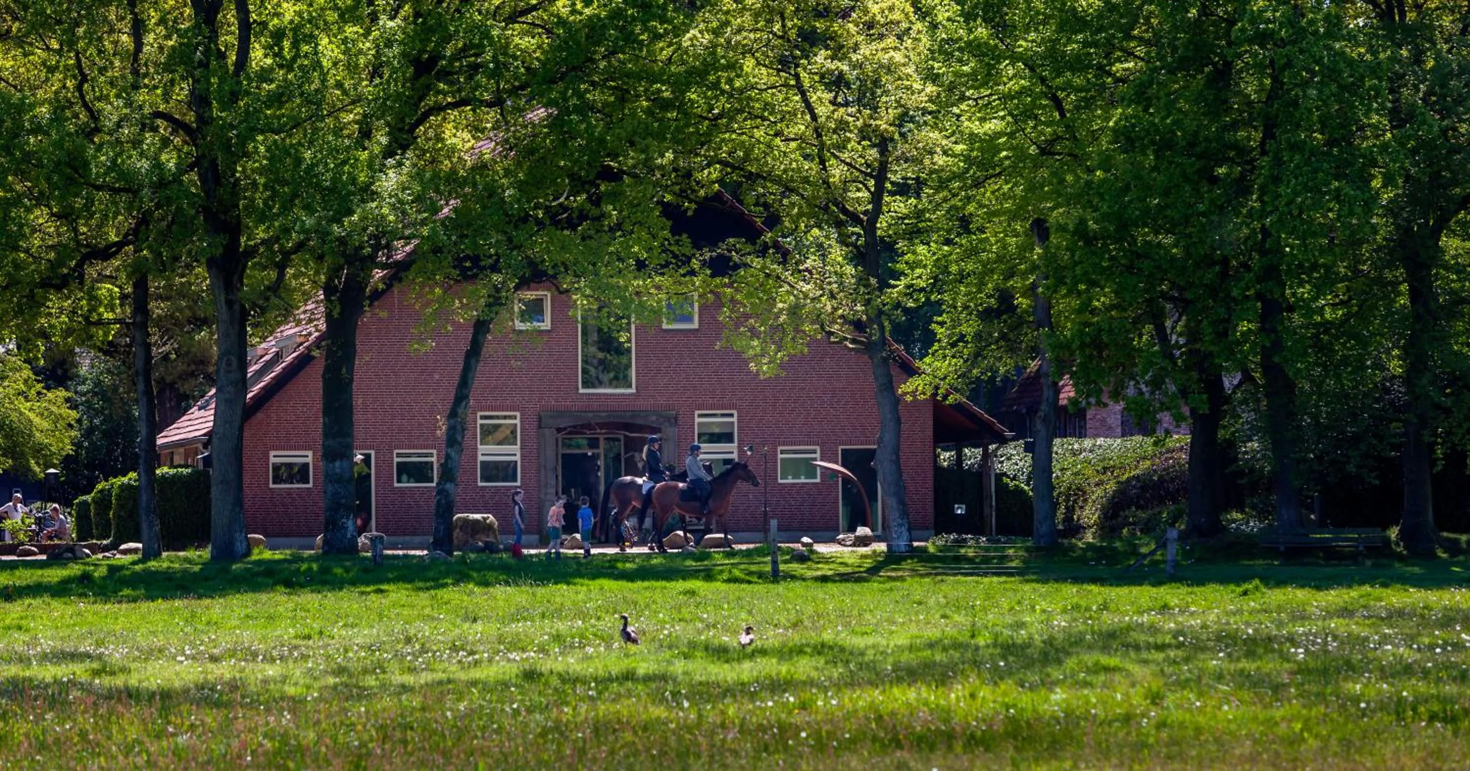 Hoeve Springendal