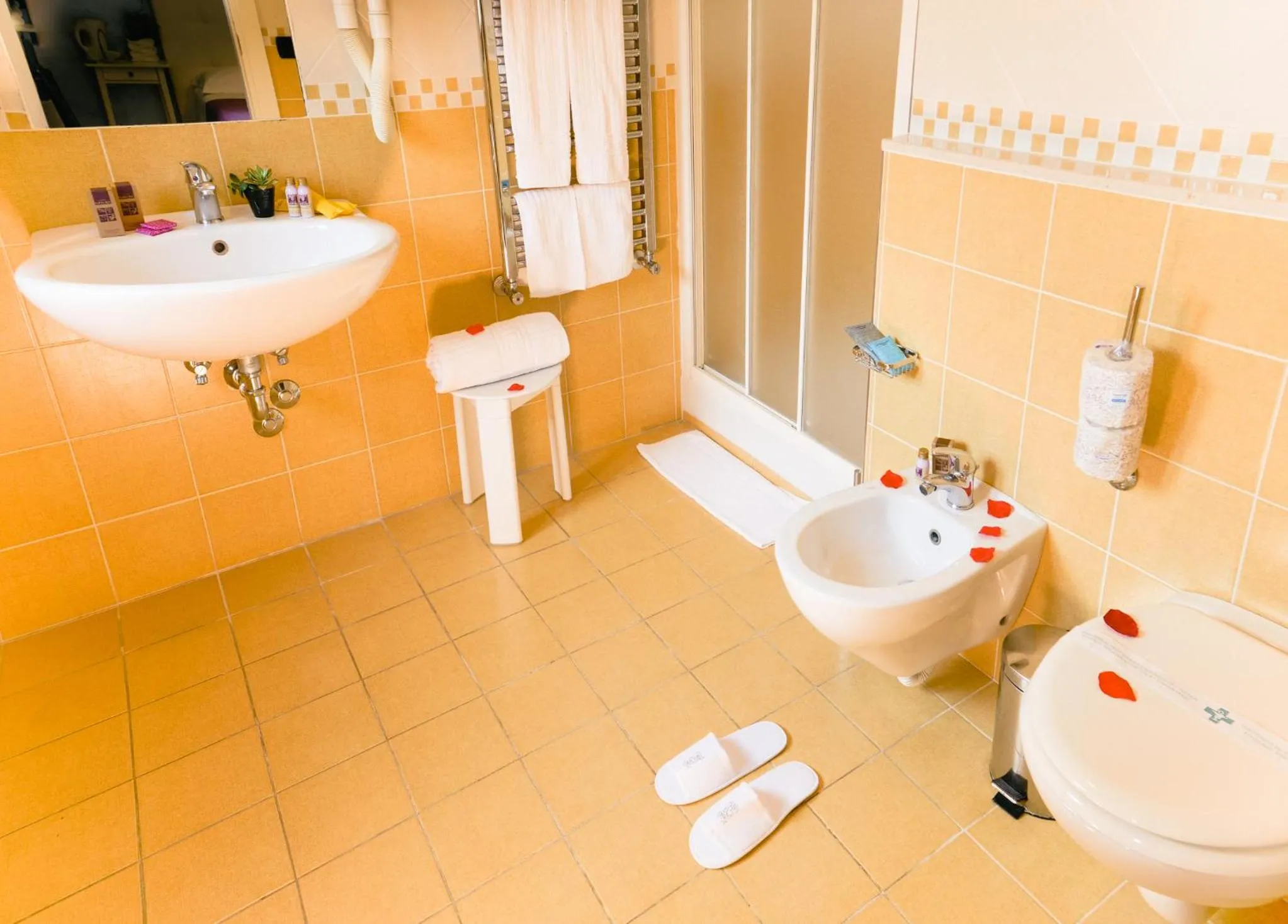 Shower in Diana Inn Accommodations