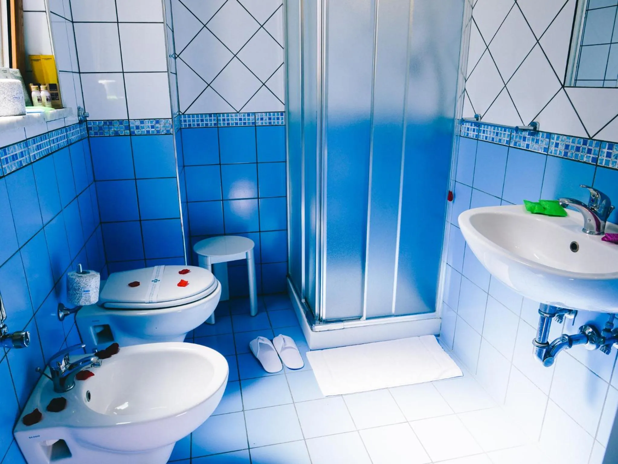 Shower in Diana Inn Accommodations