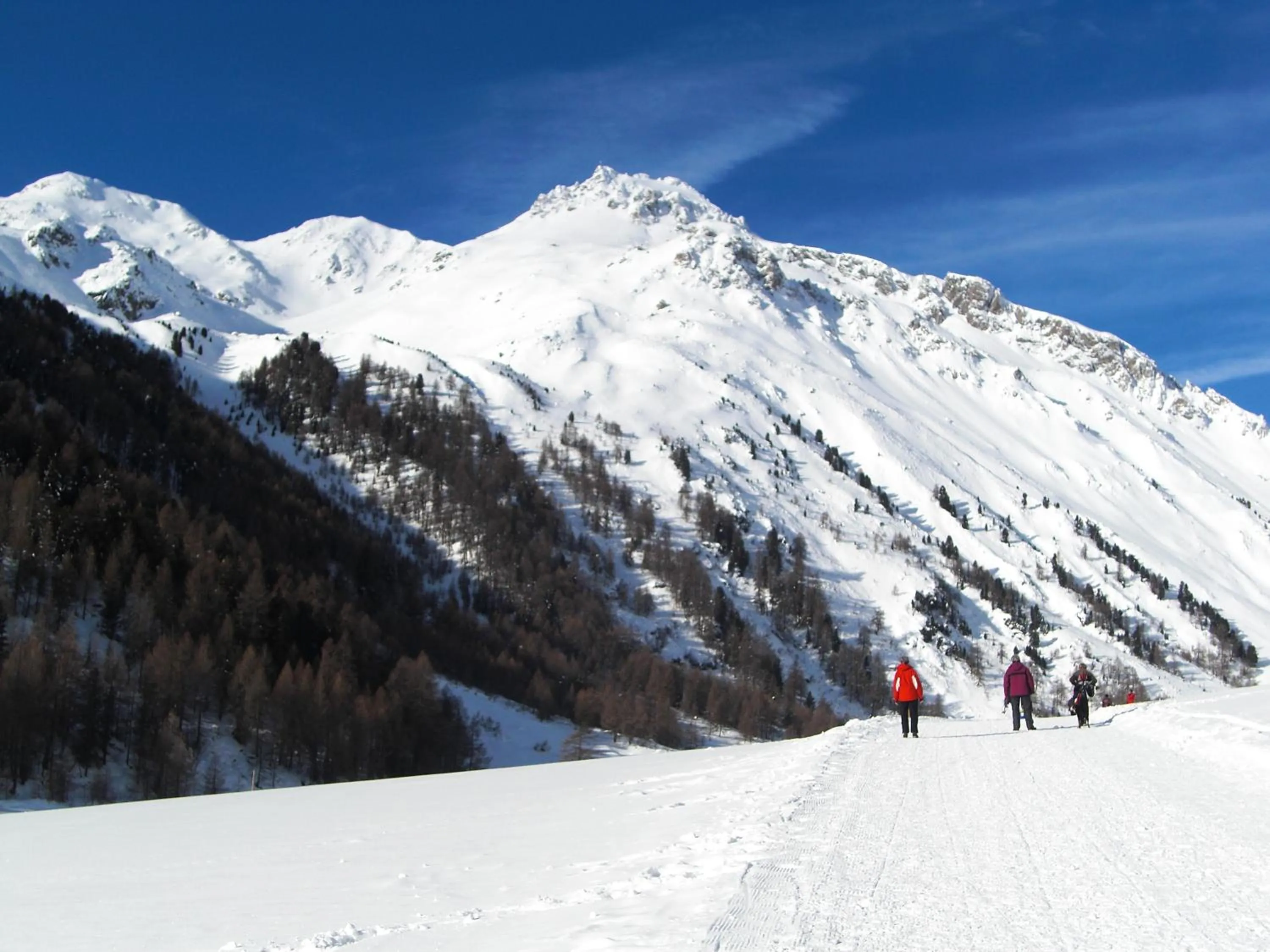 Winter in Hotel Edelweiss