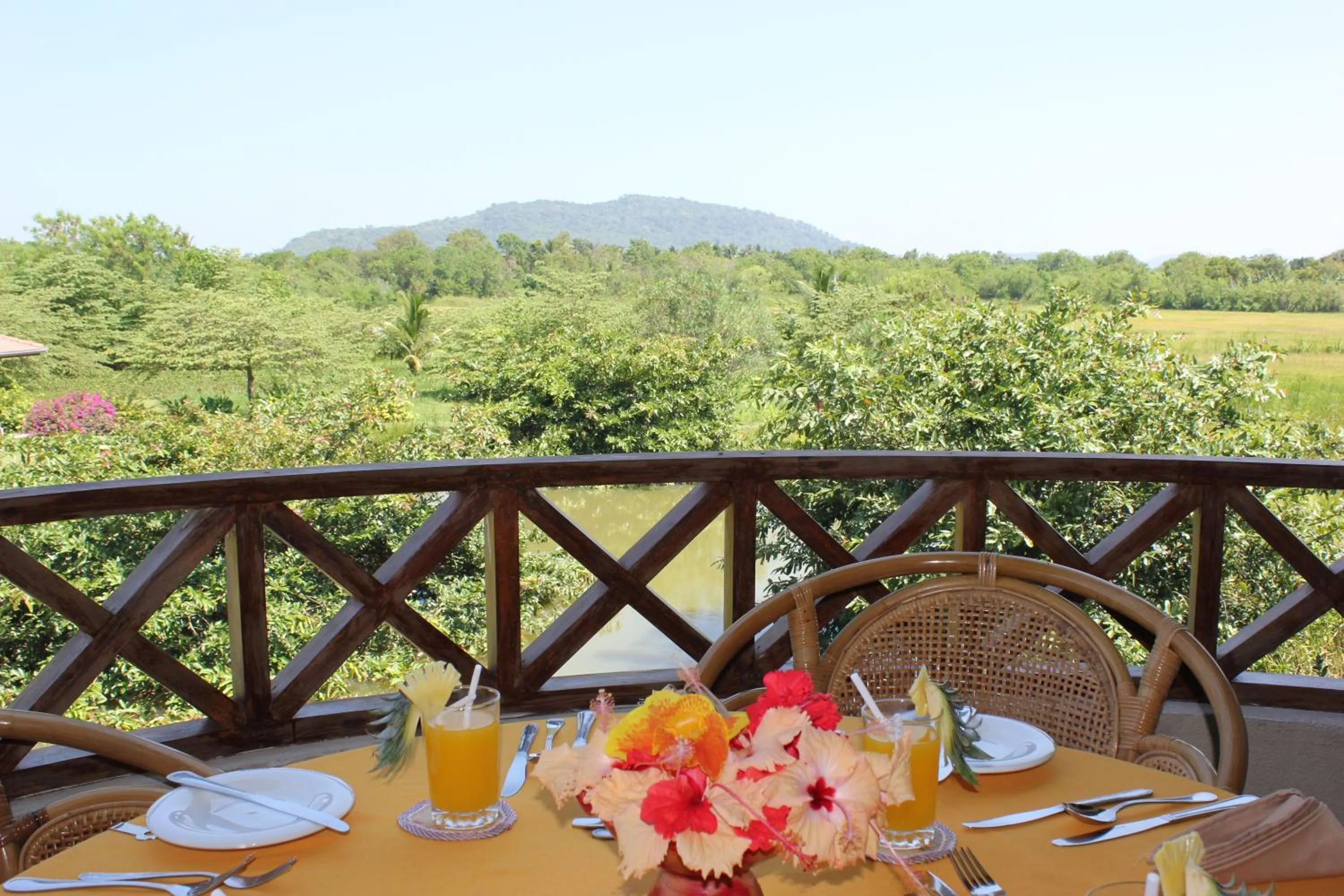 Garden view in Hibiscus Garden Hotel