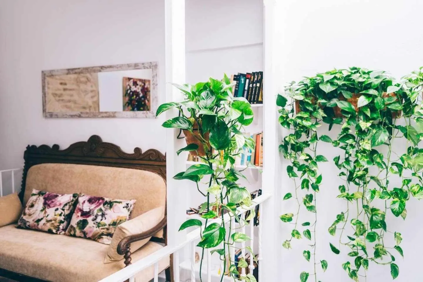 Property building in Alcázar de María