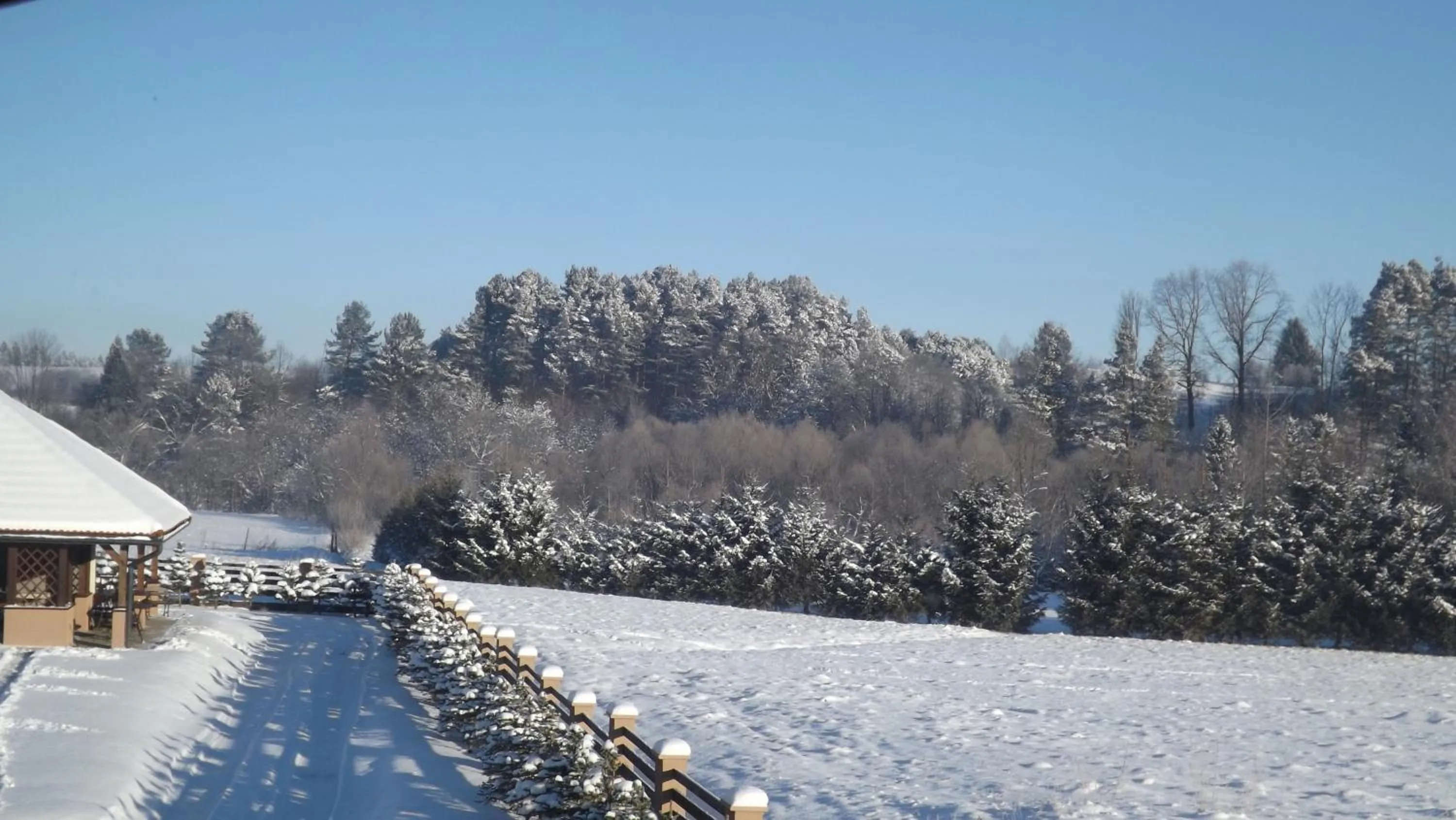 View (from property/room) in Zajazd Bieszczadzka Ostoja