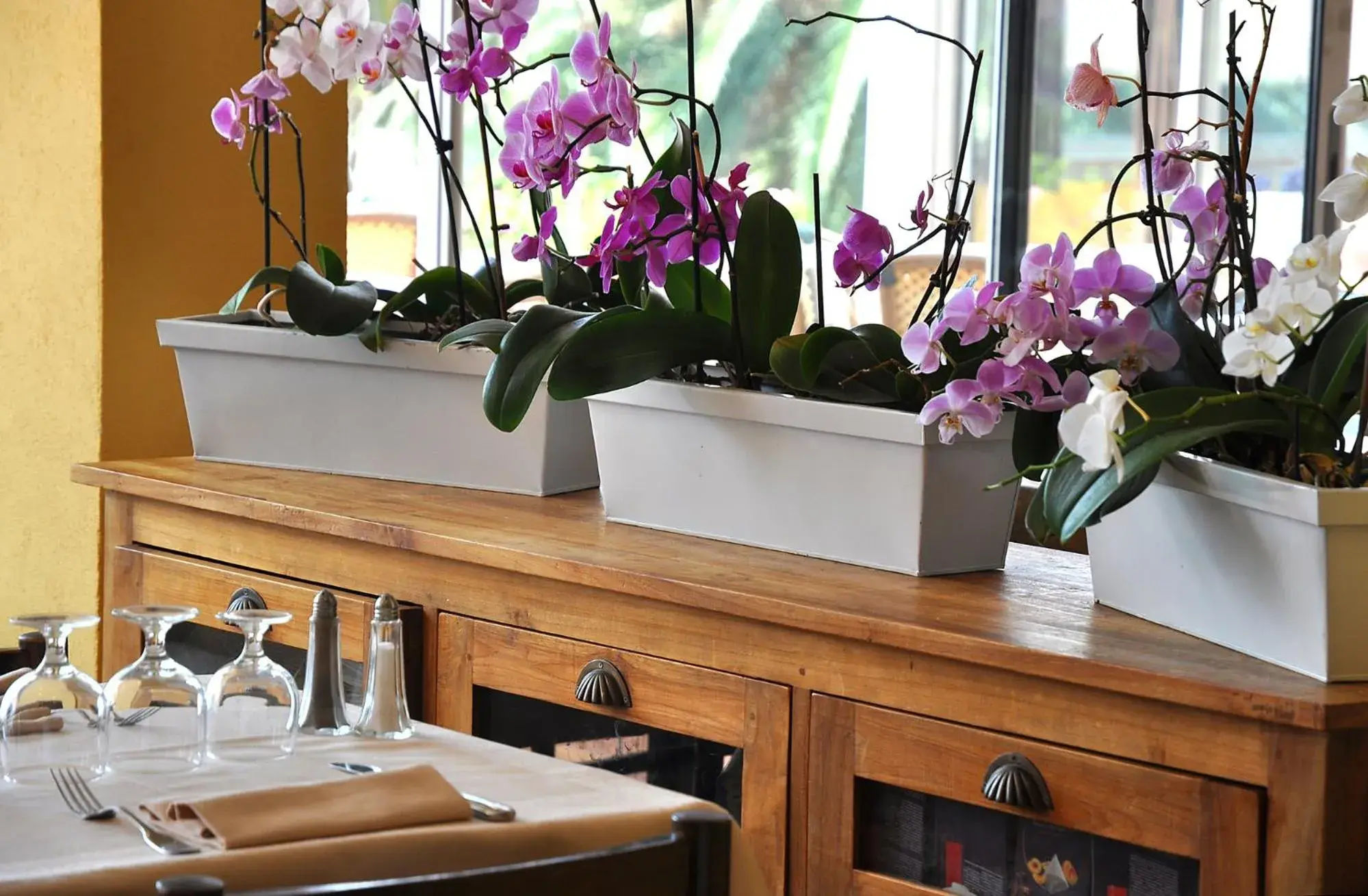 Restaurant/places to eat in Sun Beach Restaurant/places to eat in Sun Beach