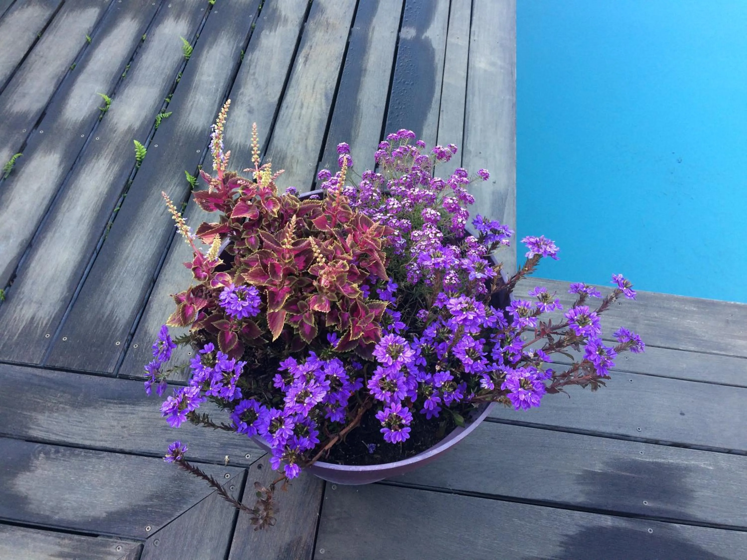 Pool view in Oustalet