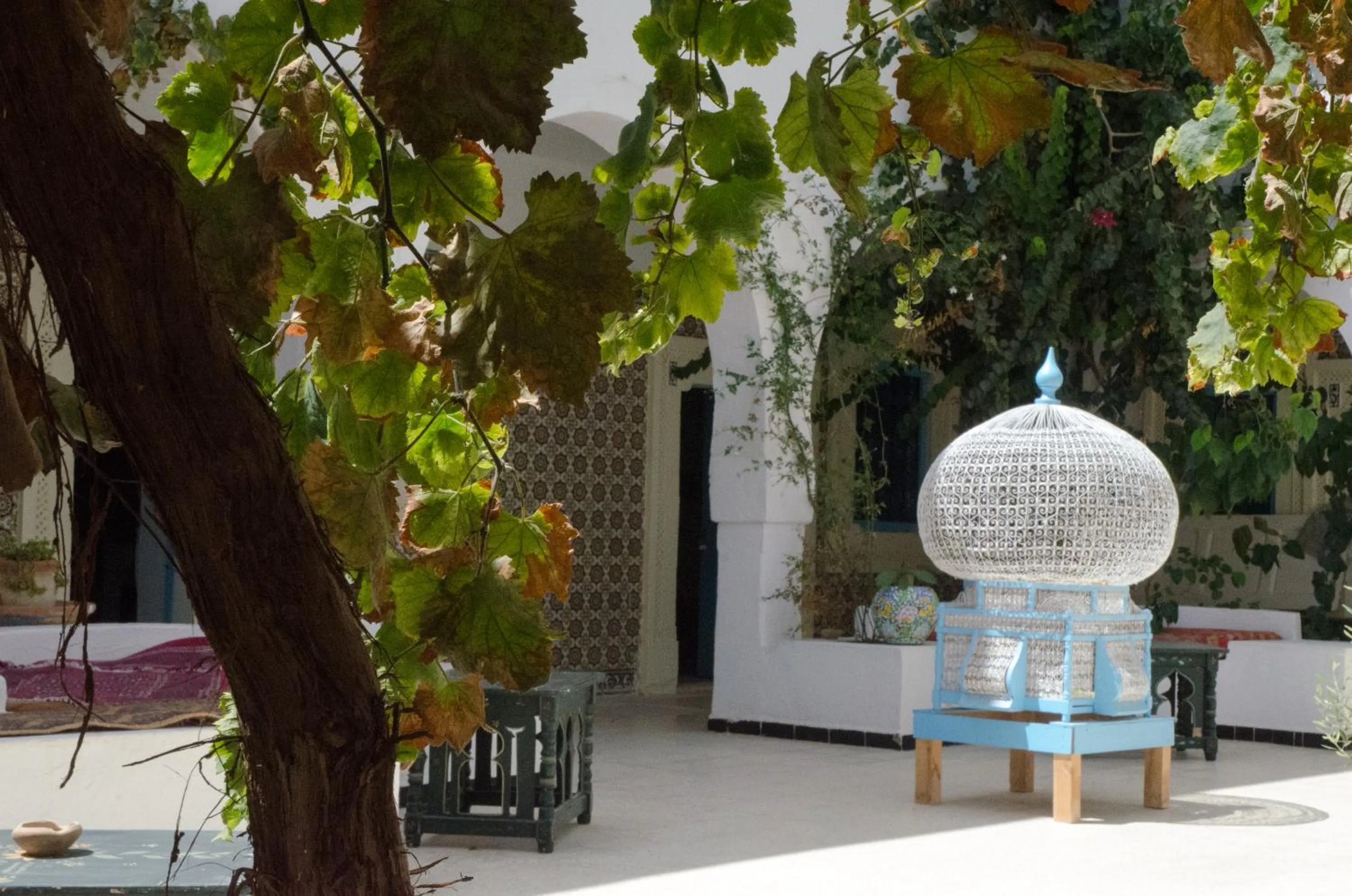 Hôtel Djerba Erriadh