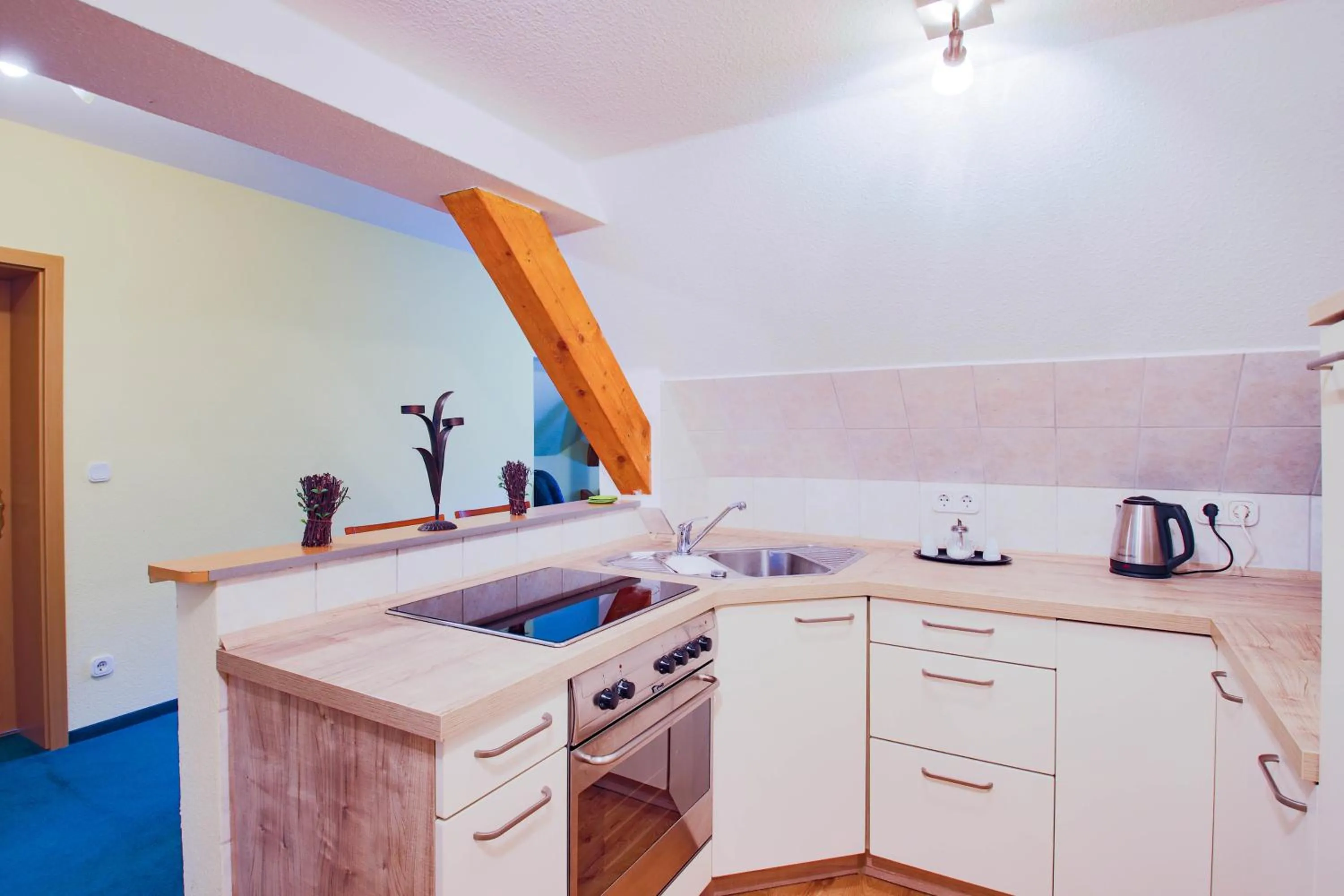 kitchen in Ferien Hotel Villa Südharz