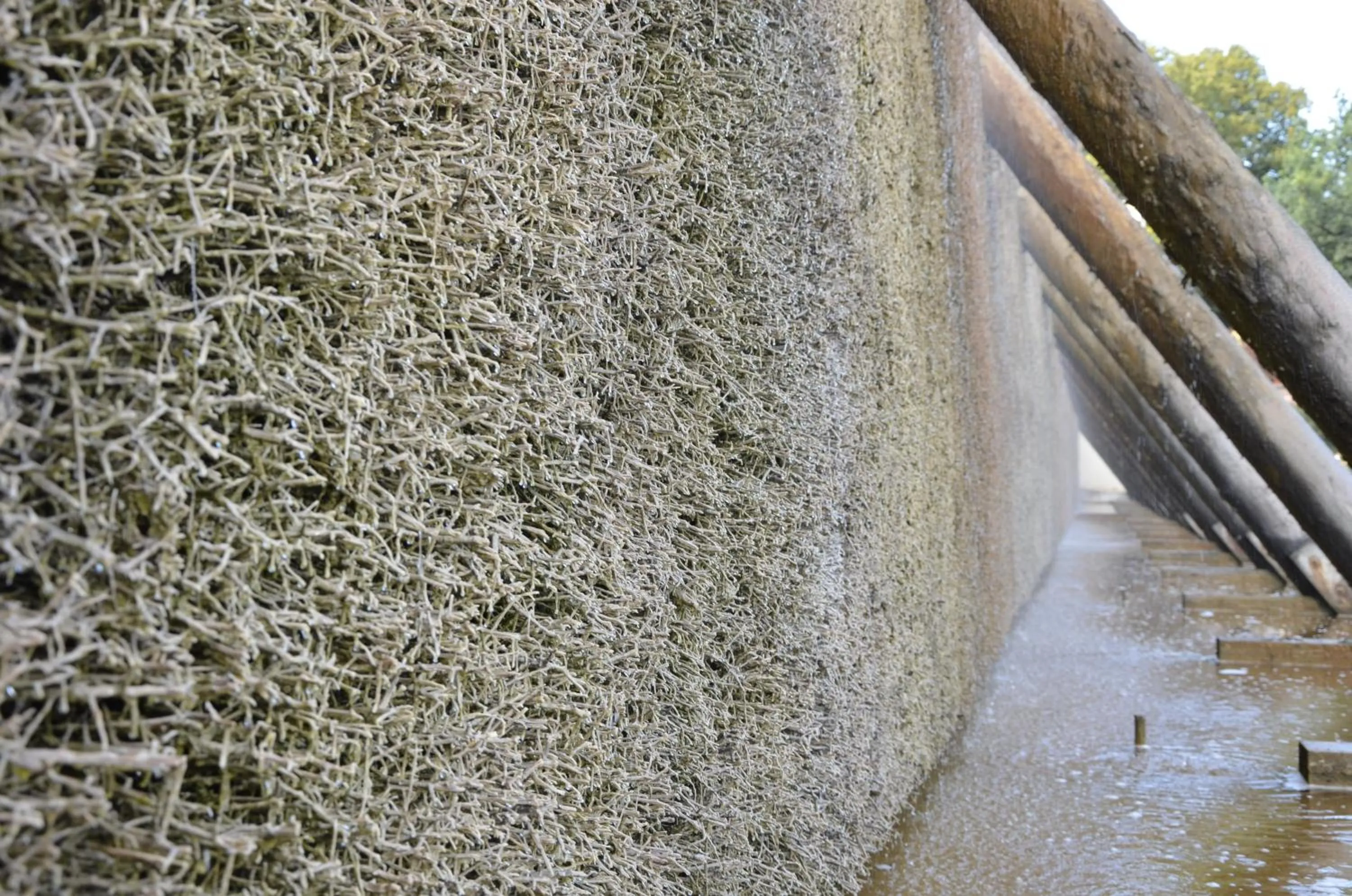 Nearby landmark in Hotel Dreyer Garni