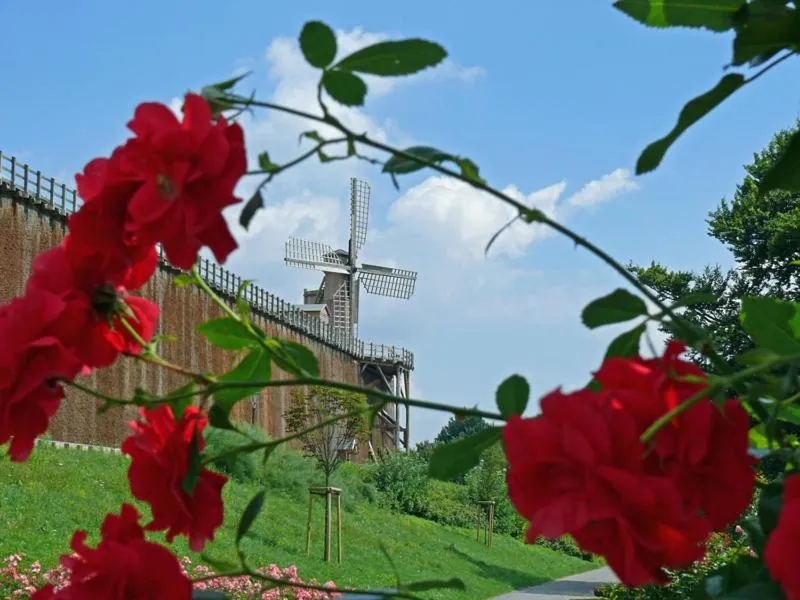 Area and facilities in Hotel Dreyer Garni