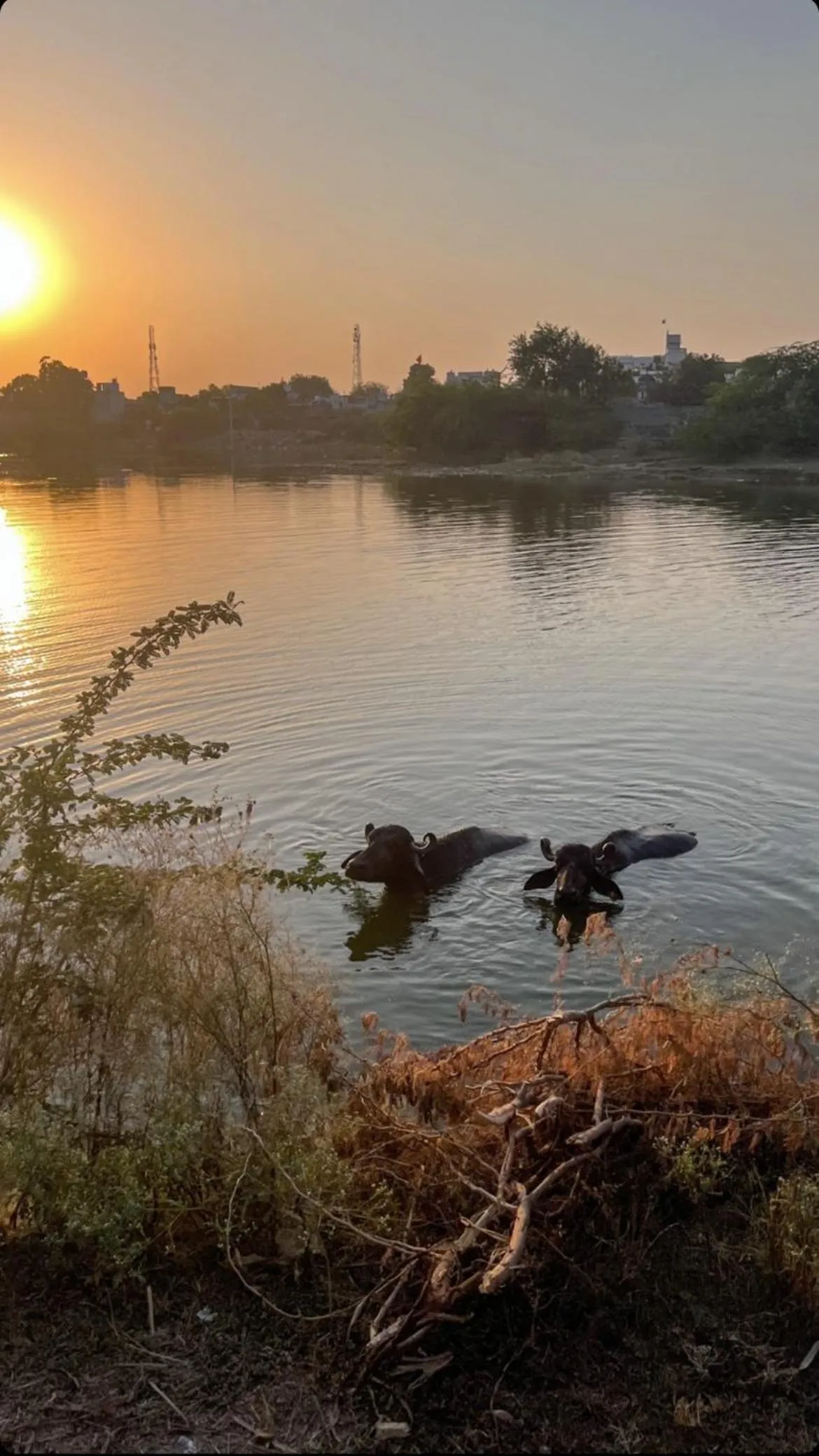 Nearby landmark in Fort Barli - A 16th Century Castle