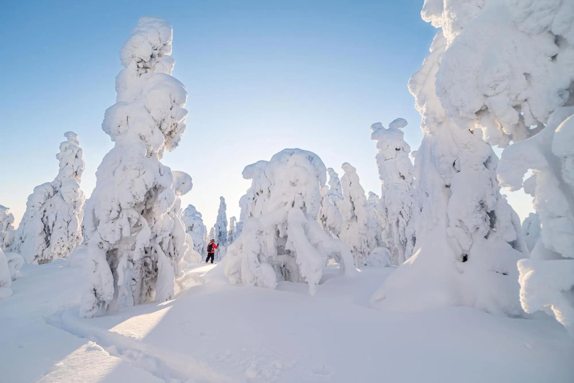 Day in Napapiirin Järvilomat