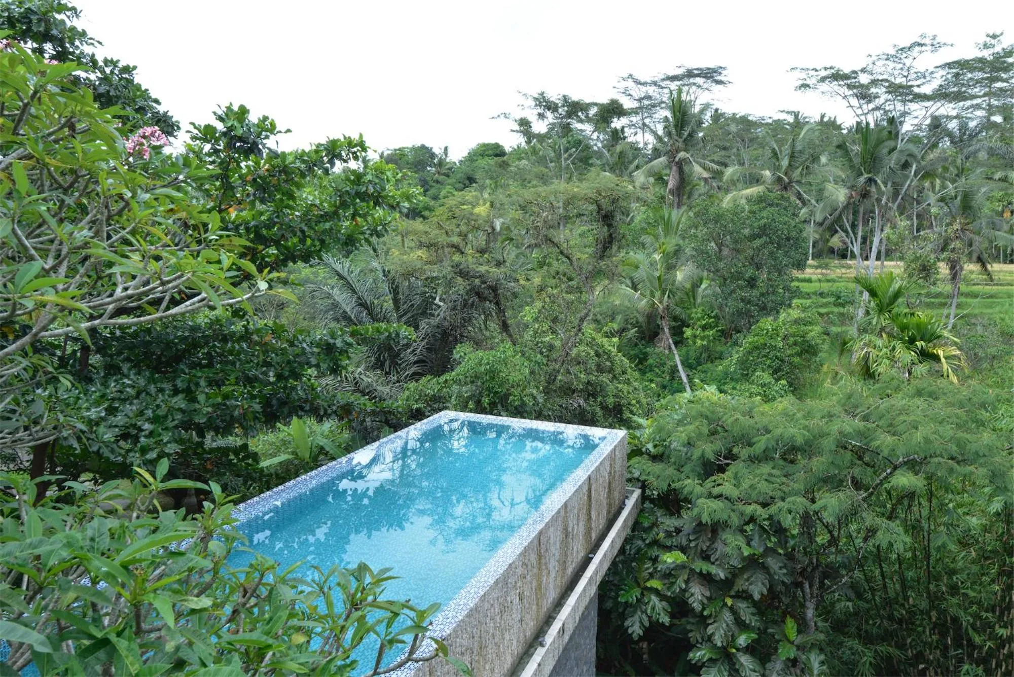 Garden view in Sandhya Villa Ubud