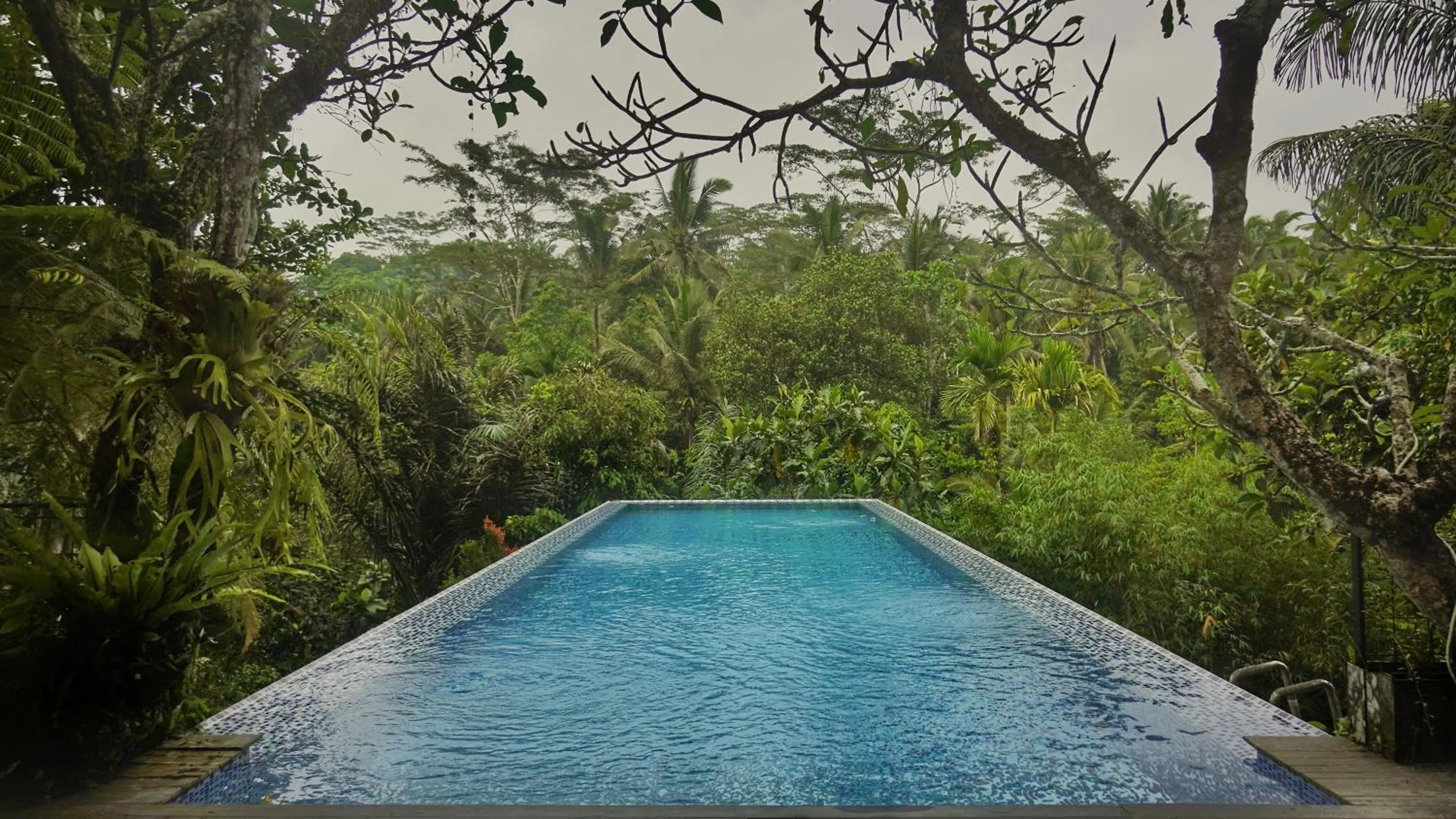 Pool view in Sandhya Villa Ubud