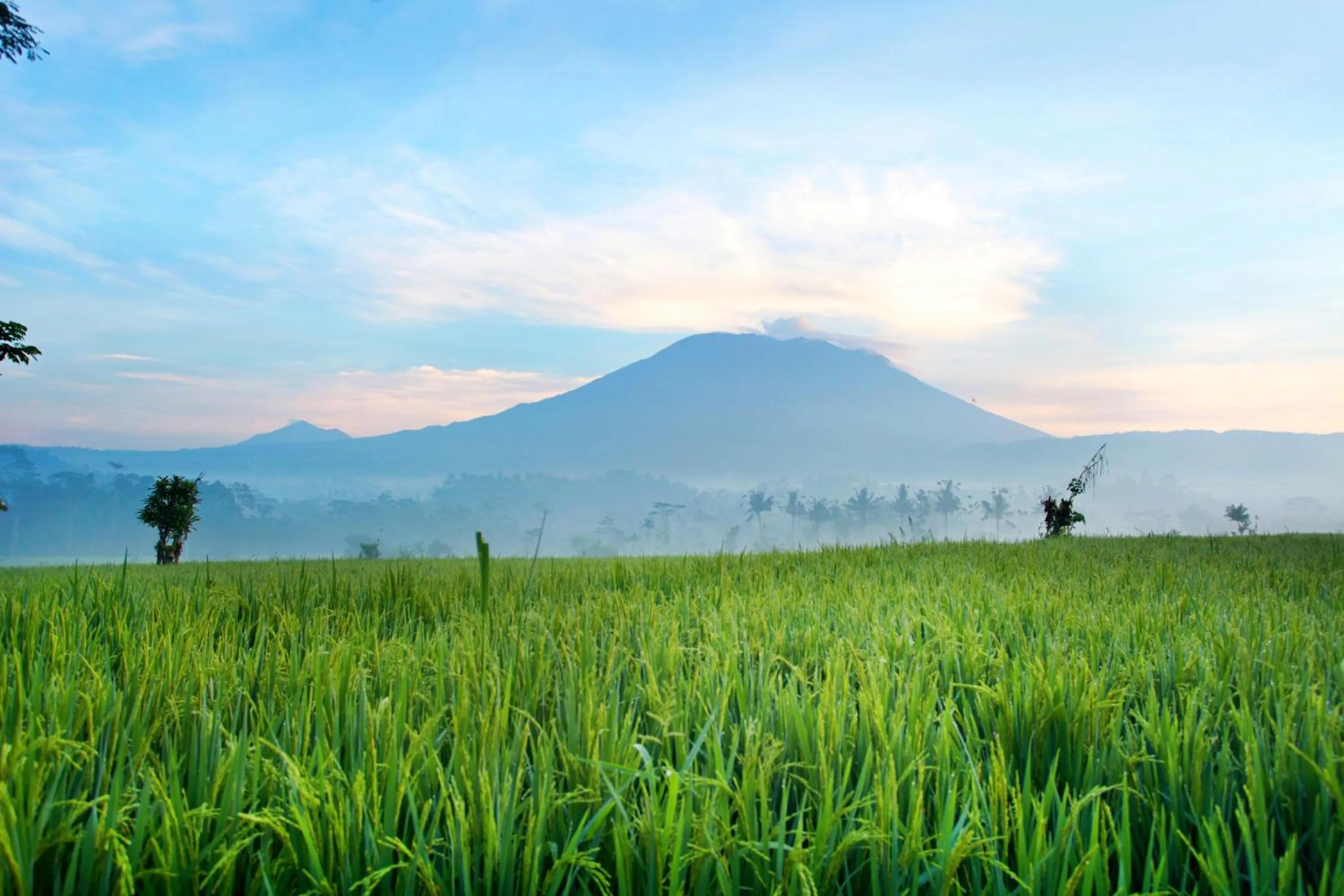 Mountain view in Great Mountain Views Villa Resort