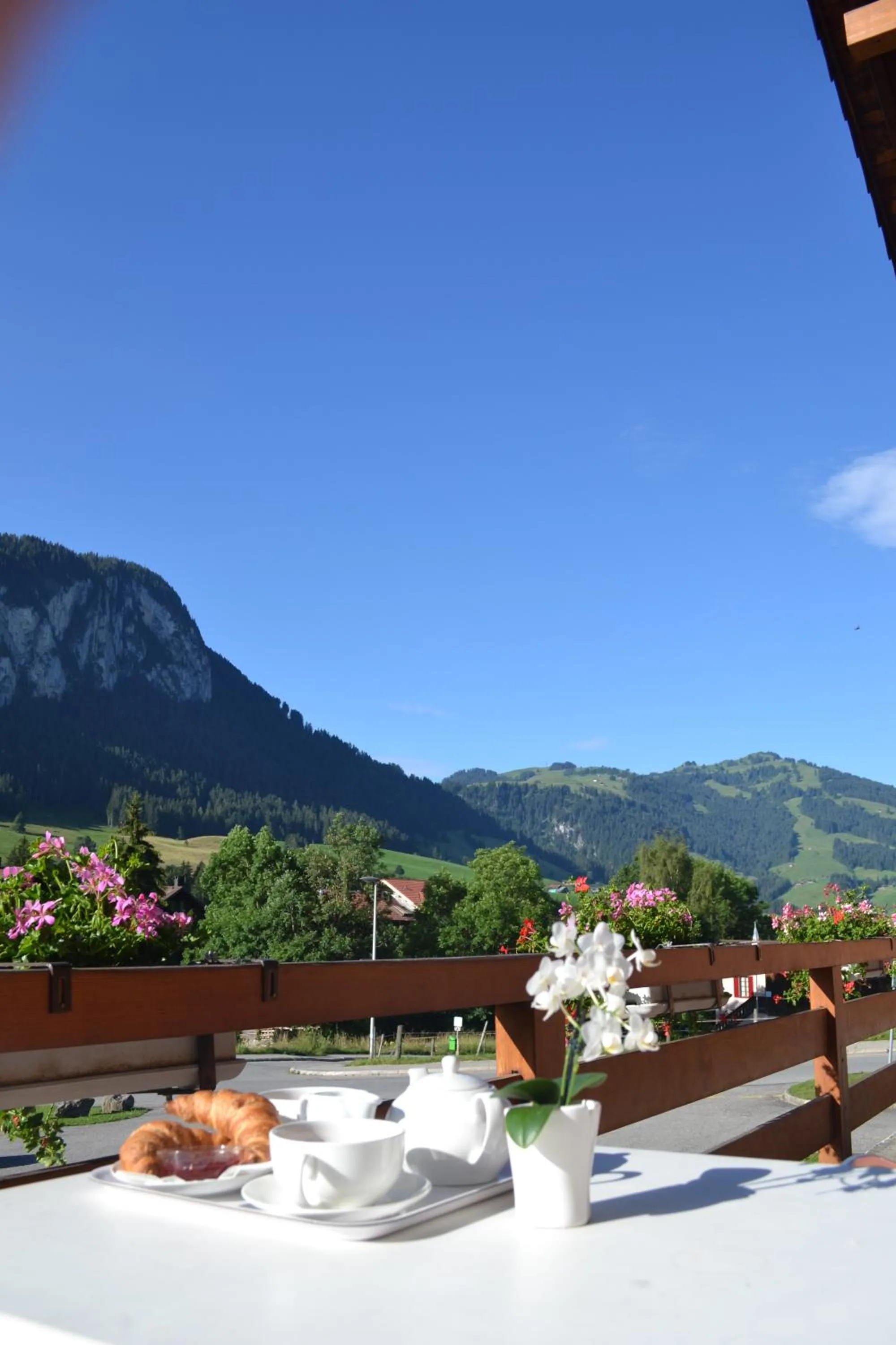 Balcony/Terrace in Hotel Roc et Neige